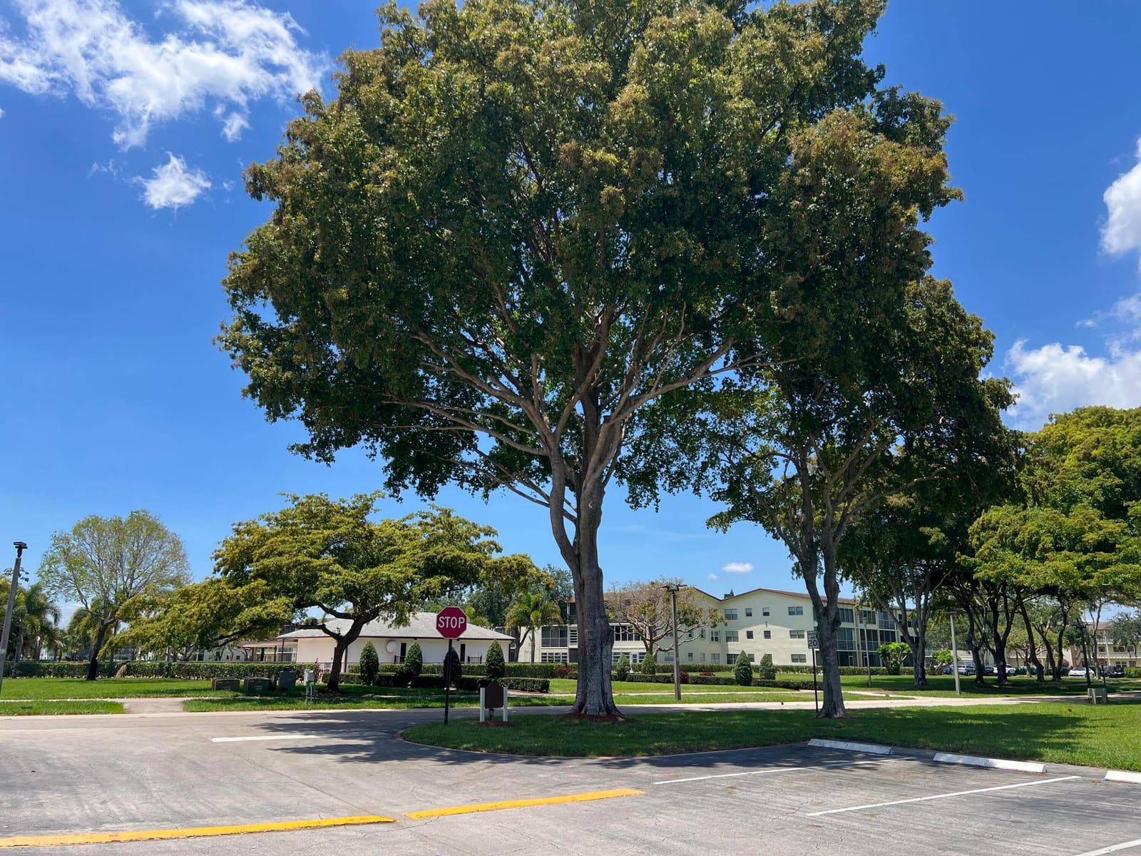 36 Mansfield A, Boca Raton, FL 33434 photo 11