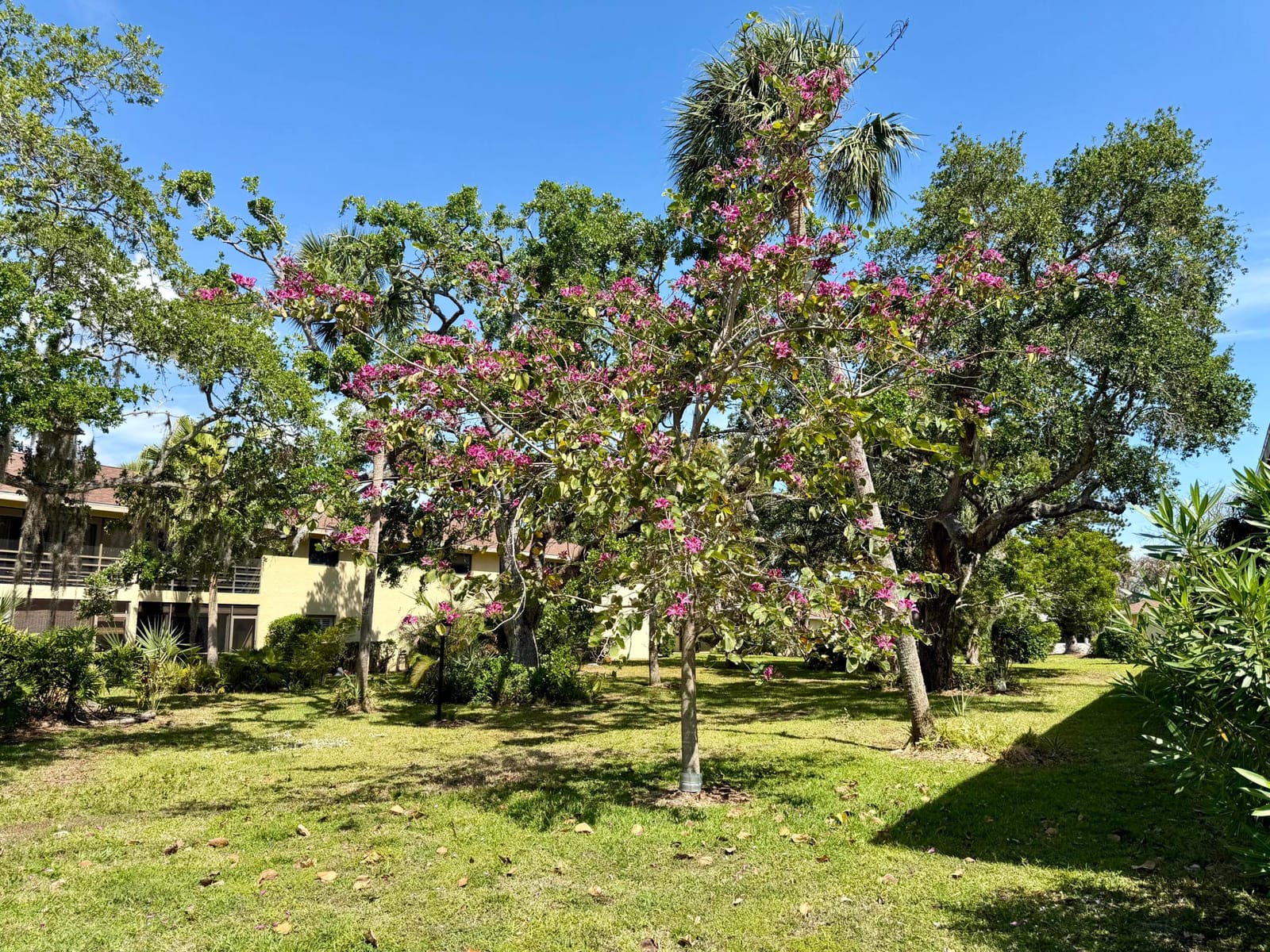 400 18th Street B4, Vero Beach, FL 32960 photo 15