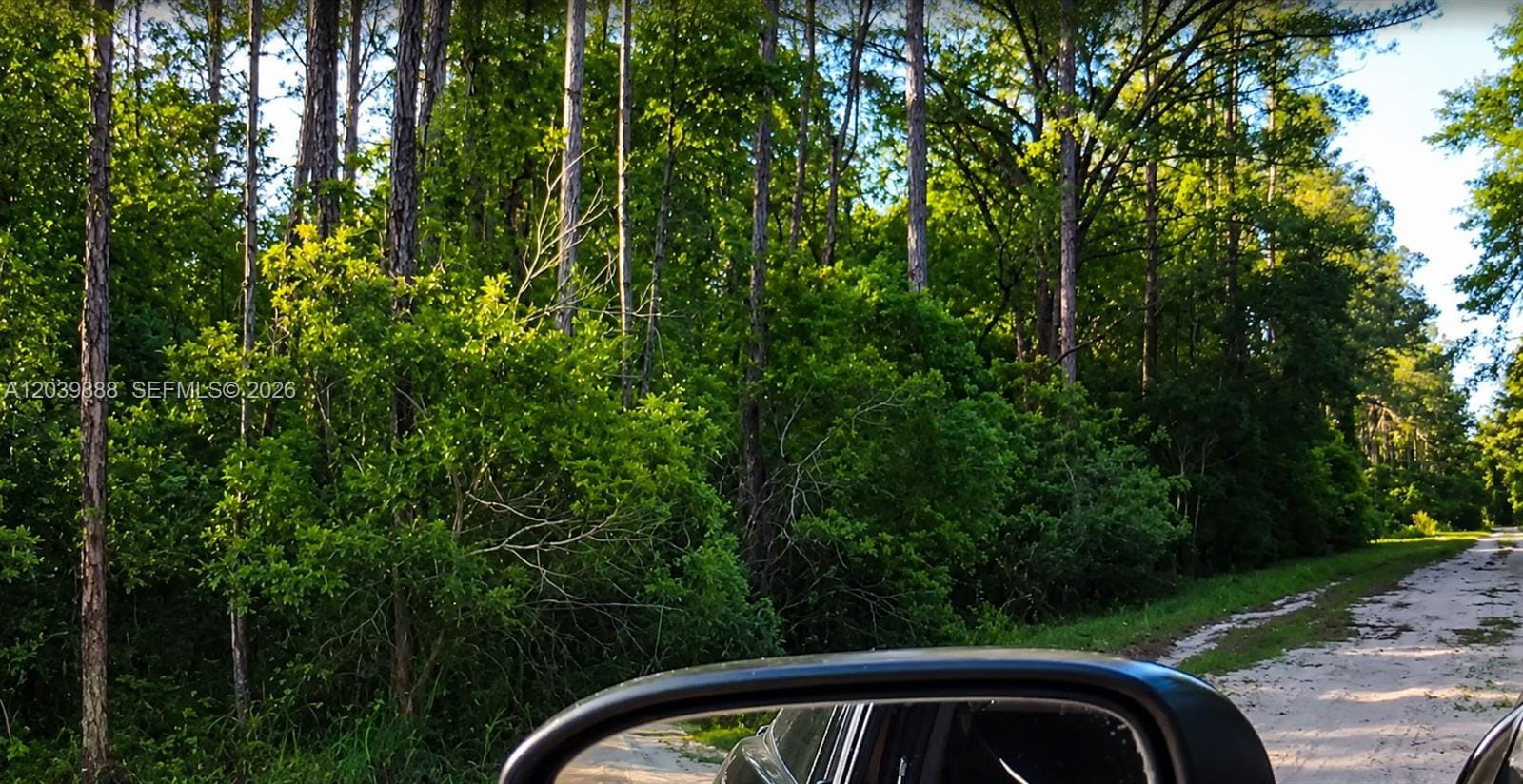 Not yet assigned Not Yet Assigned Paradise Lake Drive — photo 11
