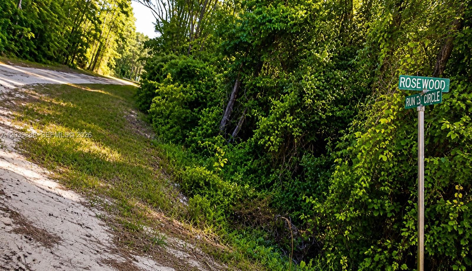 Not yet assigned Not Yet Assigned Paradise Lake Drive — photo 4