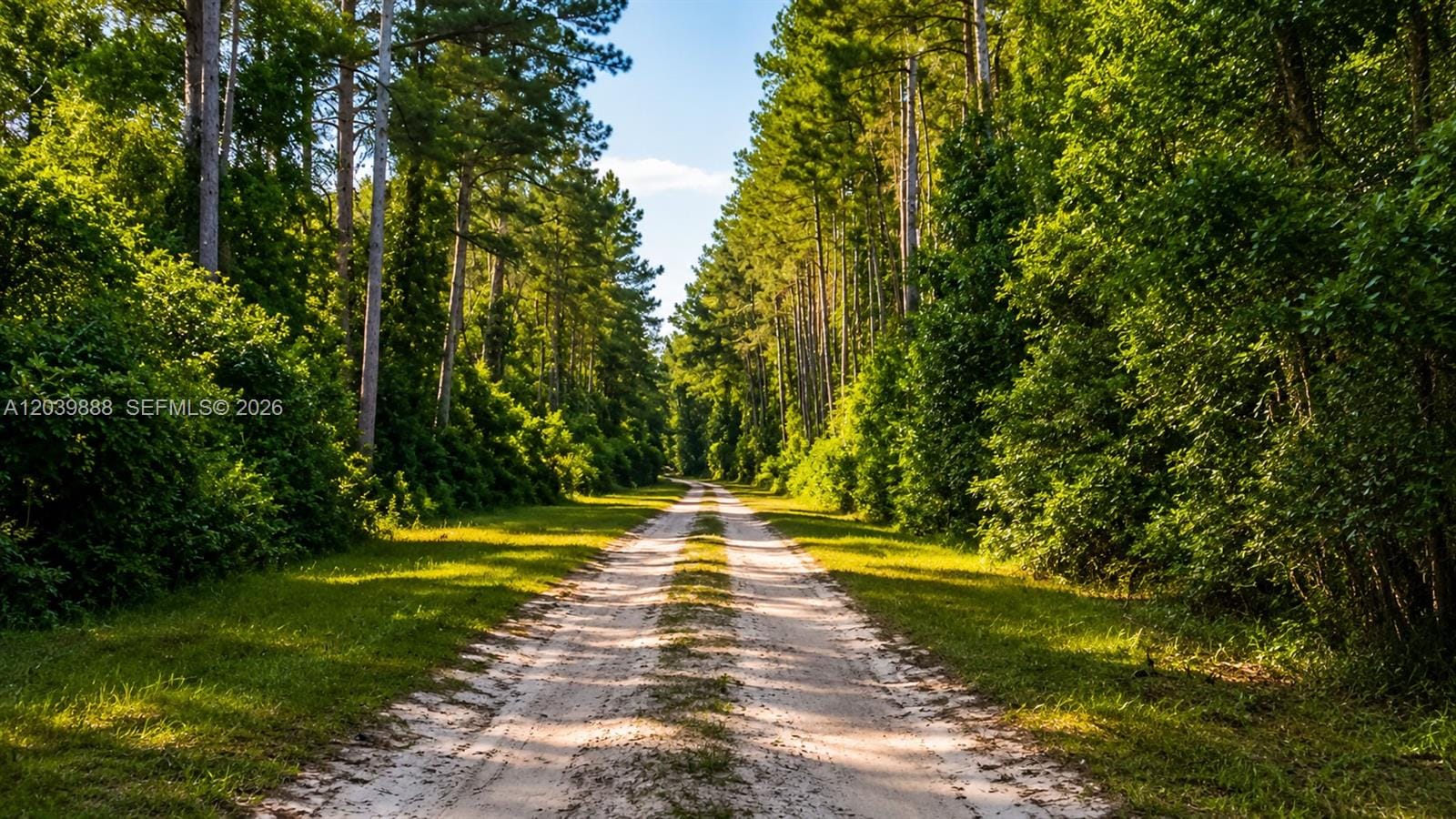Not yet assigned Not Yet Assigned Paradise Lake Drive — photo 7