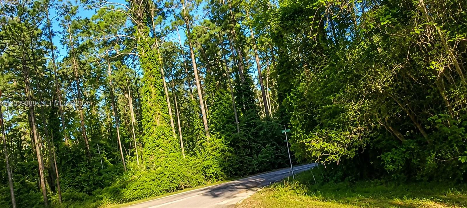 Not yet assigned Not Yet Assigned Paradise Lake Drive — photo 8