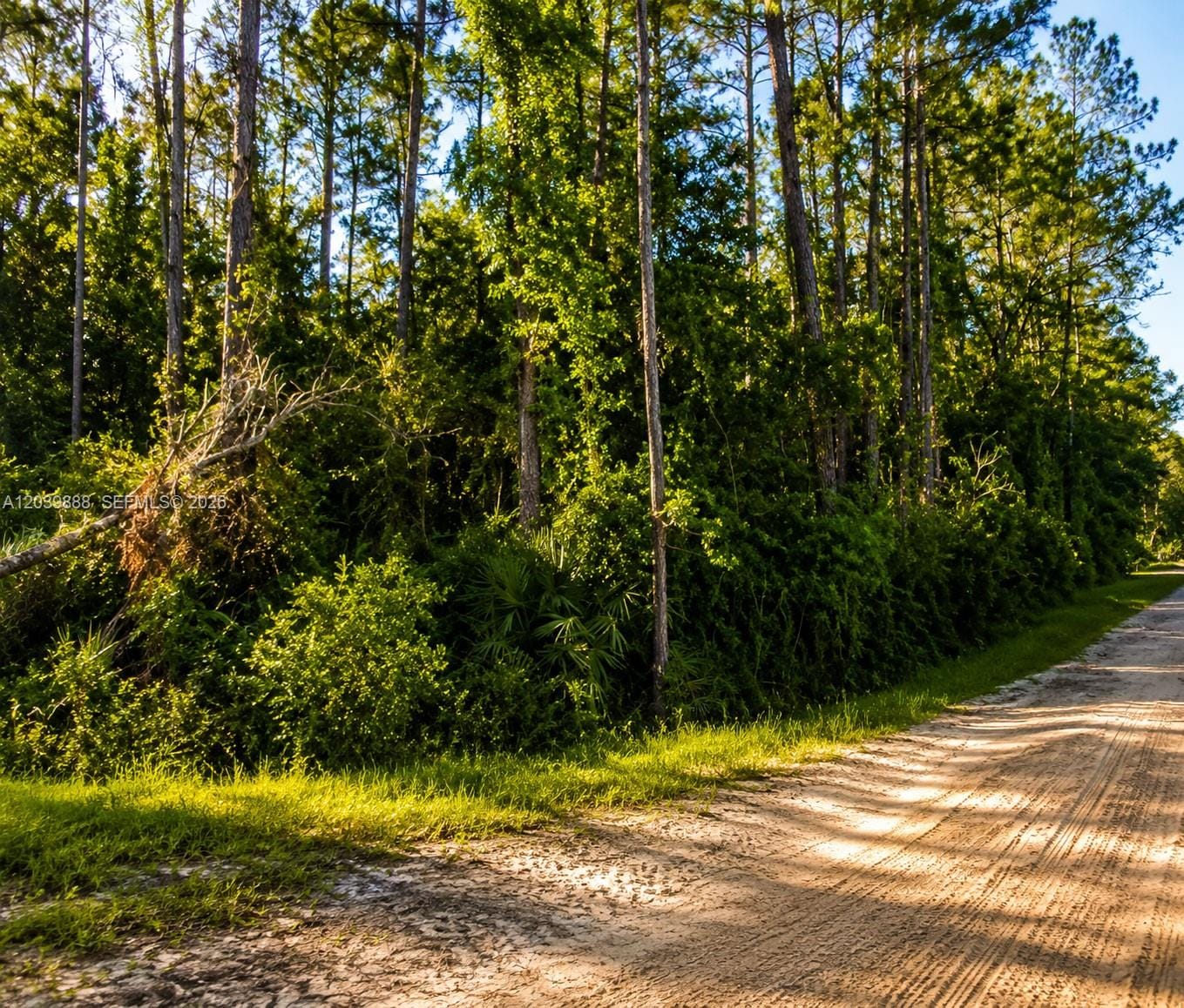 Not yet assigned Not Yet Assigned Paradise Lake Drive — photo 10