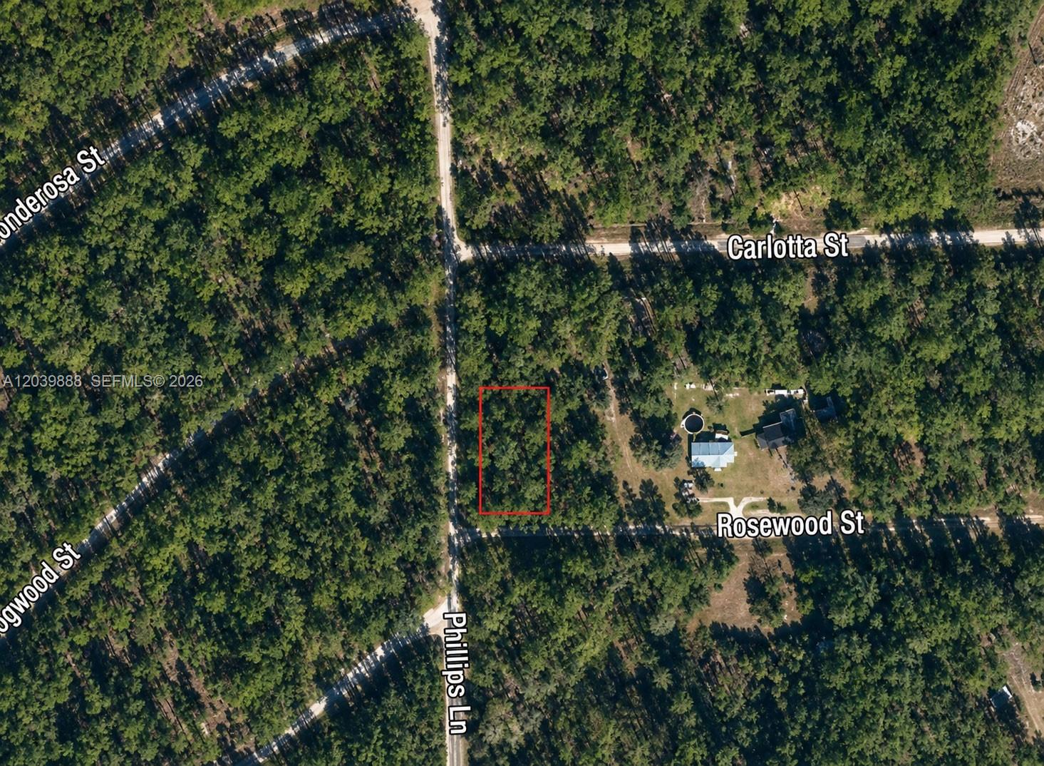 Not yet assigned Not Yet Assigned Paradise Lake Drive, FL 32139, Georgetown