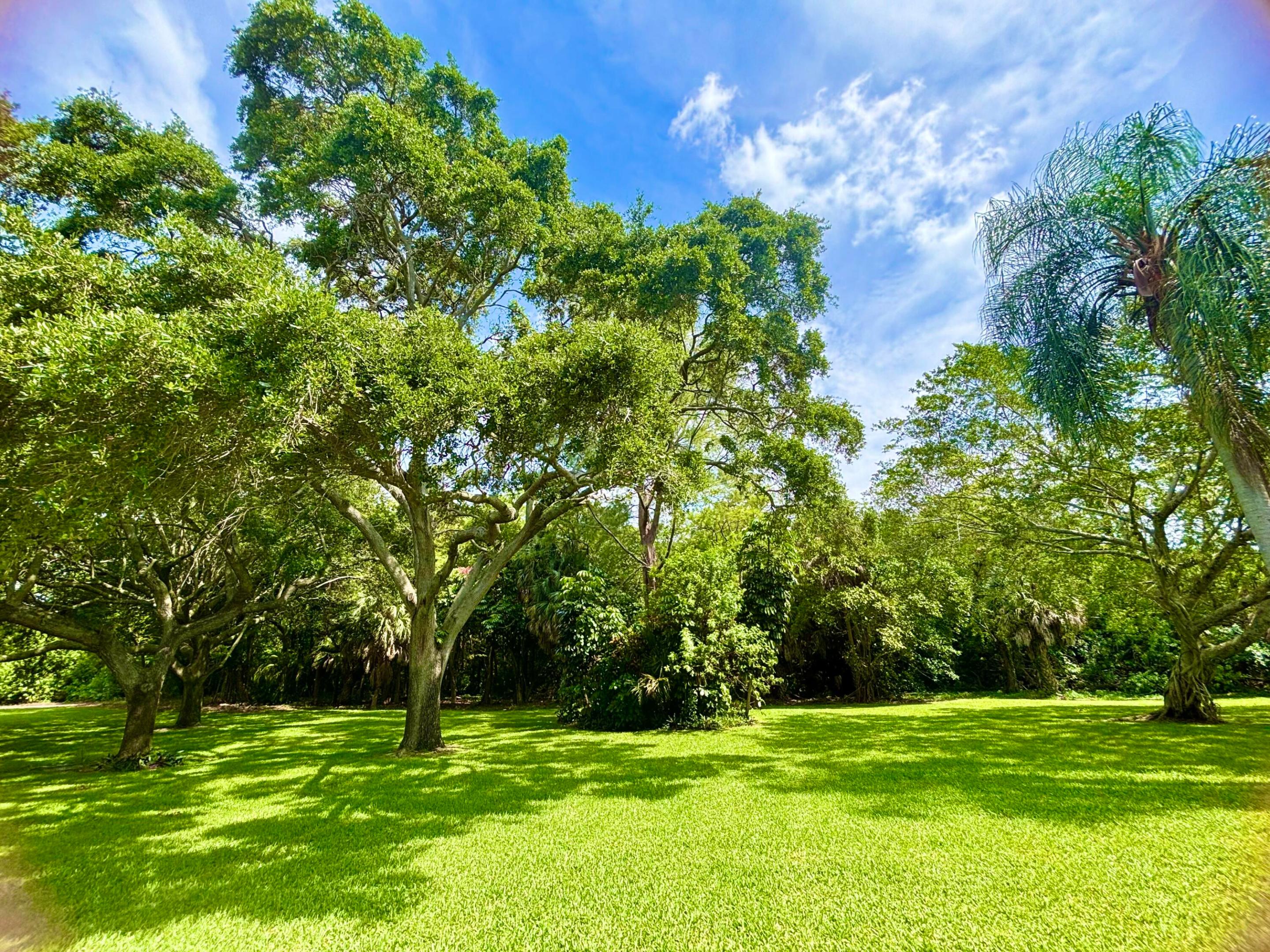 2069 Oakridge F Unit 2069, Deerfield Beach, FL 33442 photo 23