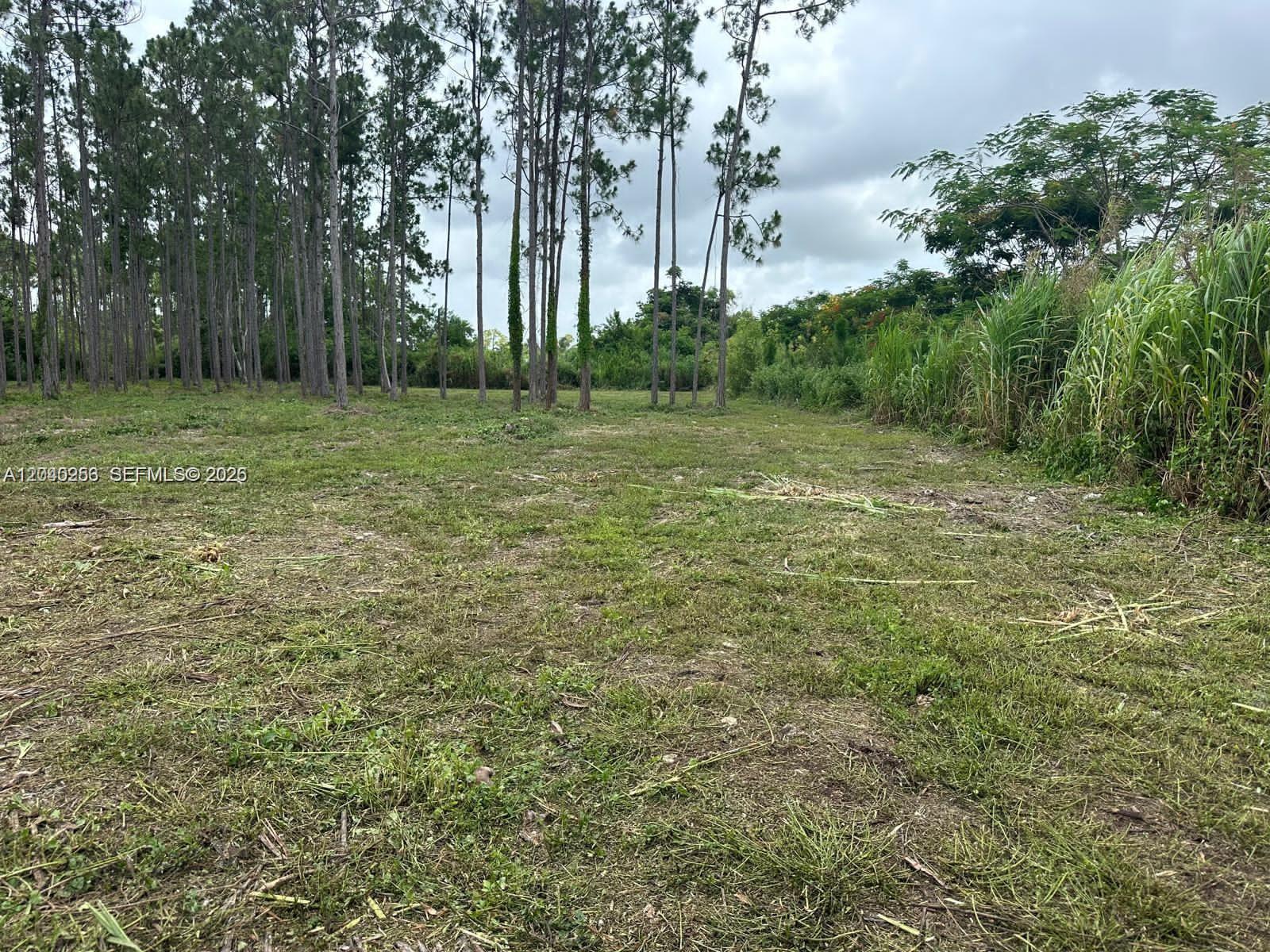 19440 SW 332 Street, Homestead, FL 33034, Homestead