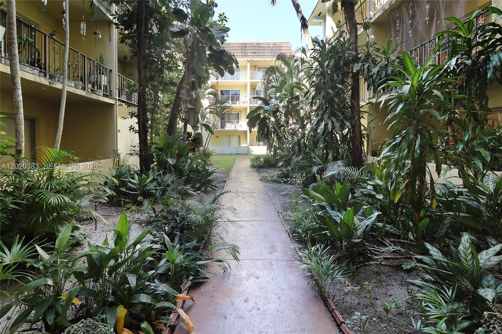 11905 NE 2nd Avenue C403, North Miami, FL 33161 photo 22