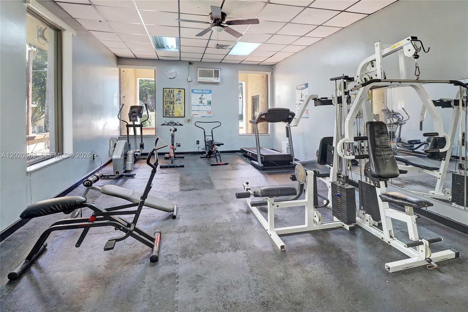 11905 NE 2nd Avenue C403, North Miami, FL 33161 photo 24