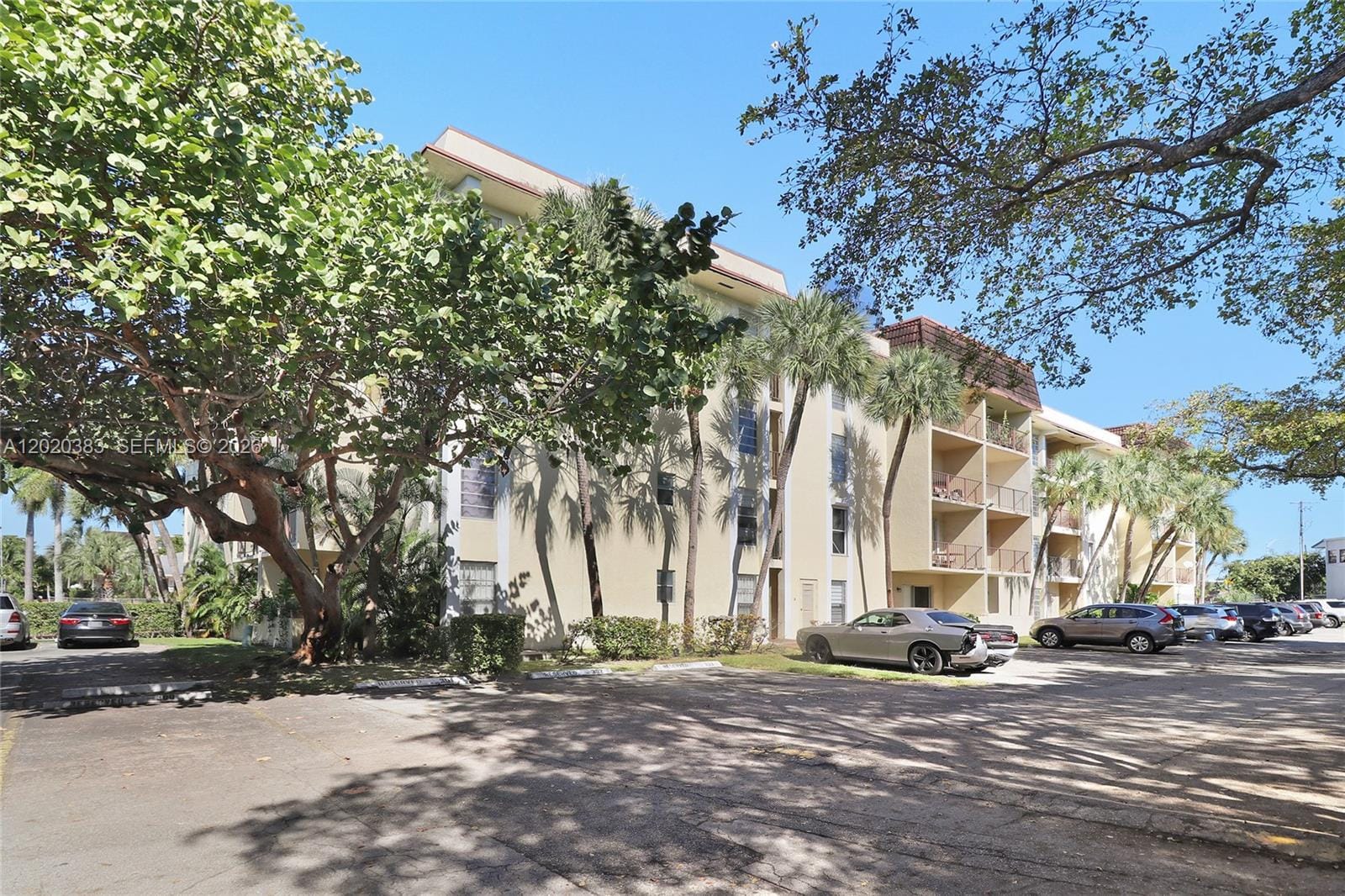 11905 NE 2nd Avenue C403, North Miami, FL 33161 photo 5