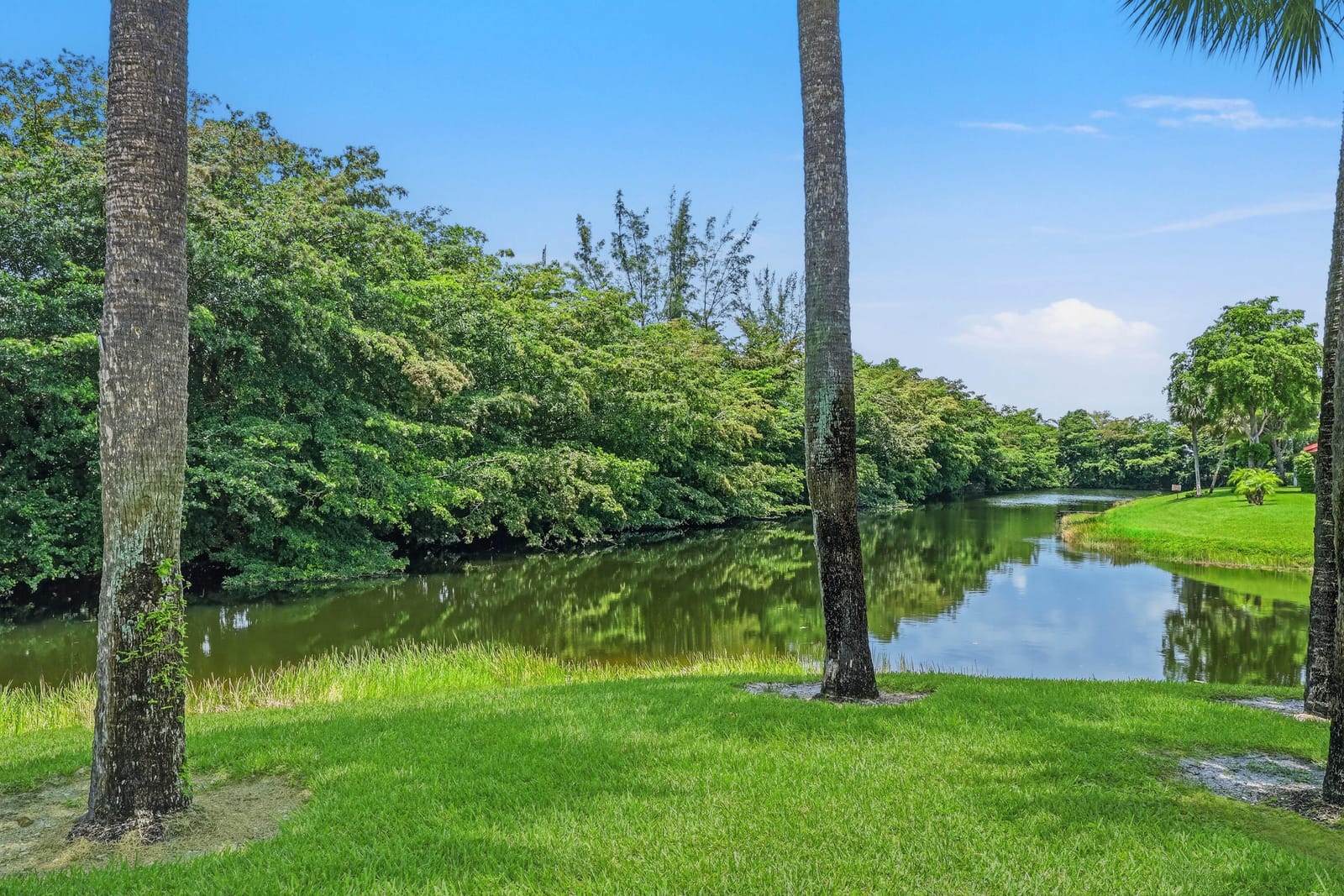 215 Lake Carol Drive, West Palm Beach, FL 33411 photo 14