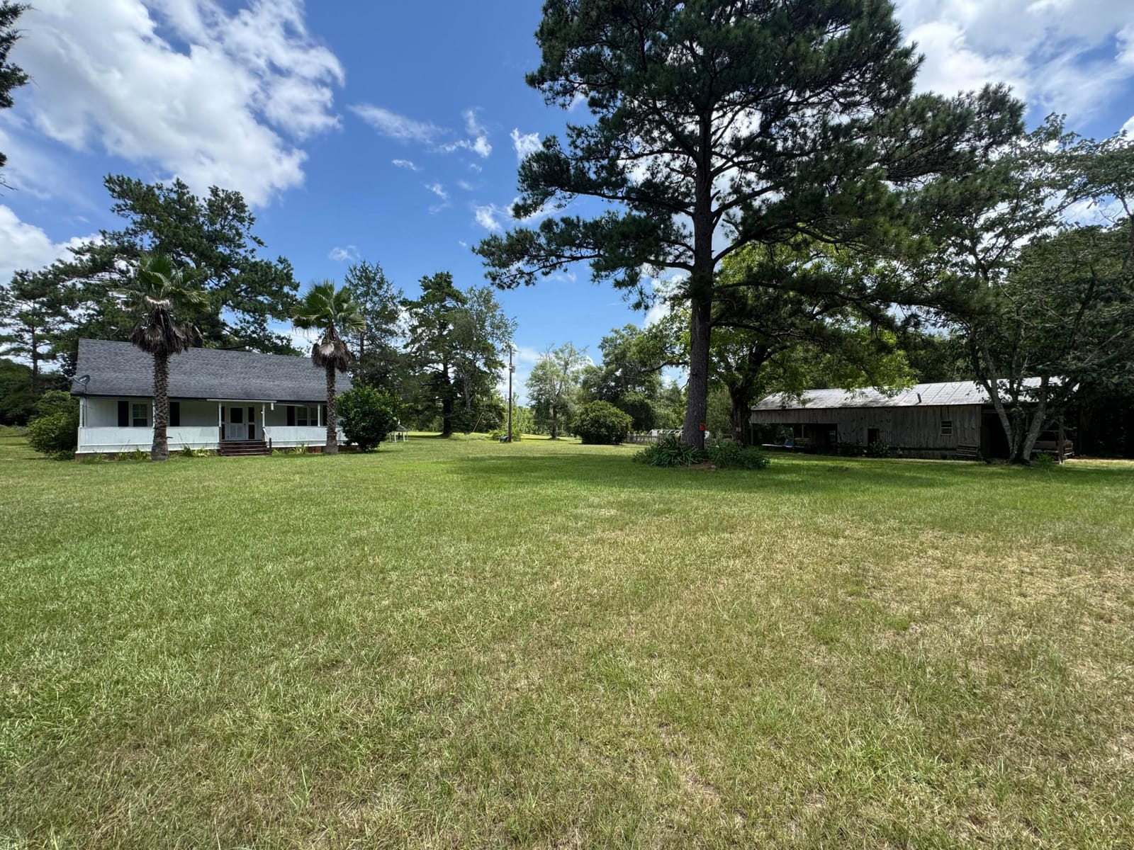 1900 Olive Lane, Bonifay, FL 32425 photo 19