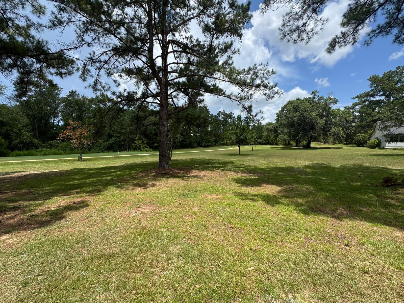 1900 Olive Lane, Bonifay, FL 32425 photo 20