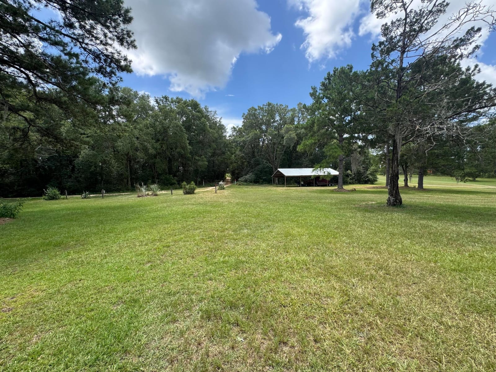 1900 Olive Lane — photo 4