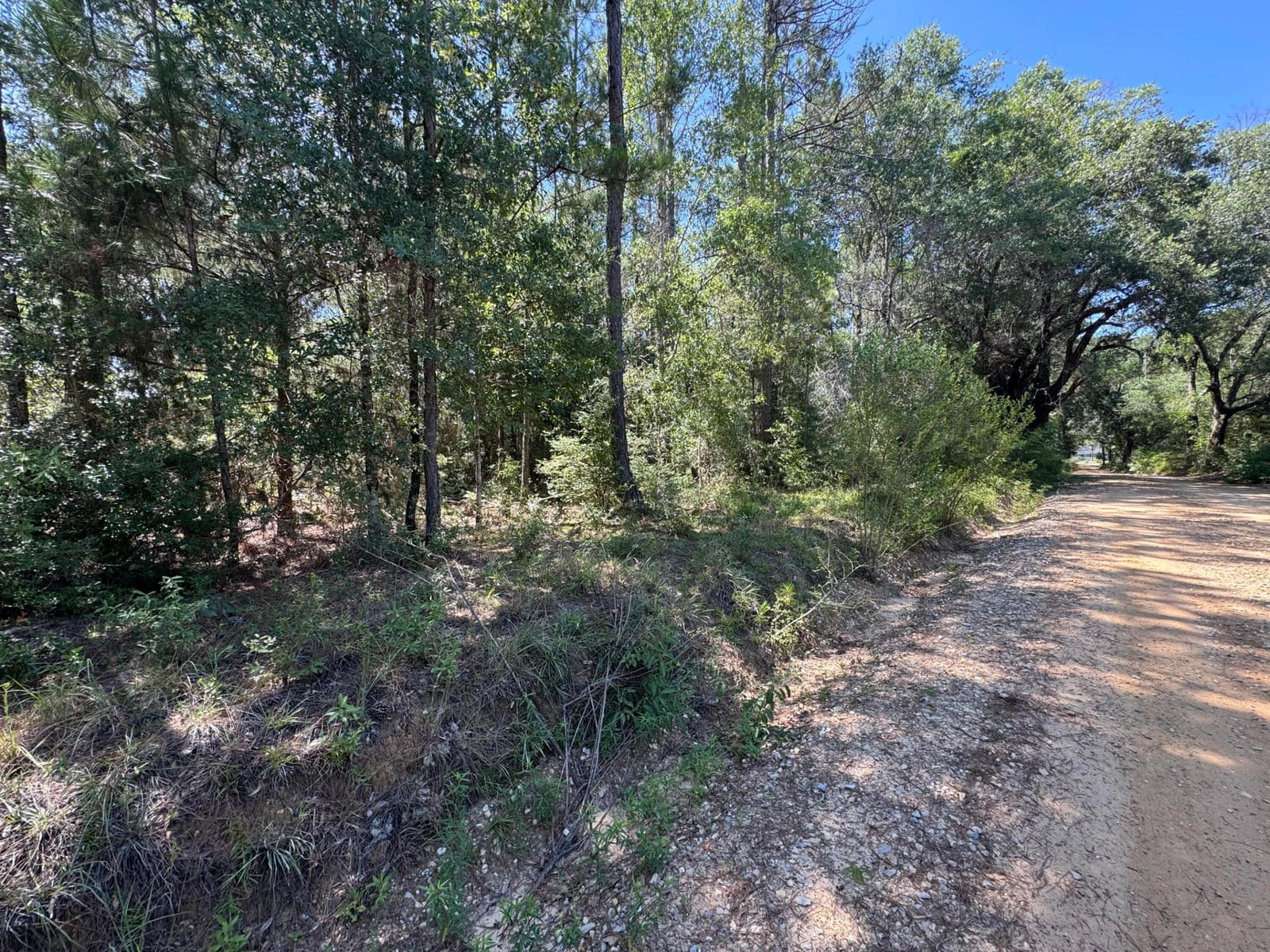 1900 Olive Lane — photo 6