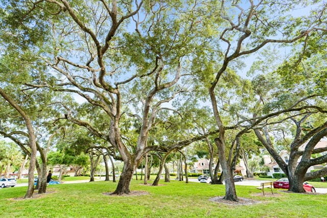 8104 Oakton Court 4b, Lake Clarke Shores, FL 33406 photo 23