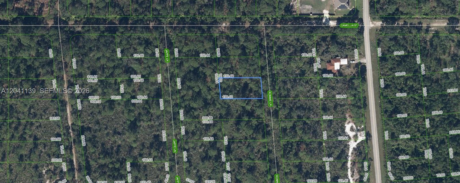 722 Ronnie Lane, Lake Placid, FL 33852, Lake Placid