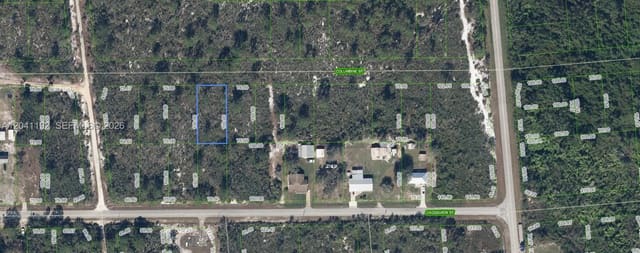 1507 Columbine Street, Lake Placid, FL 33852