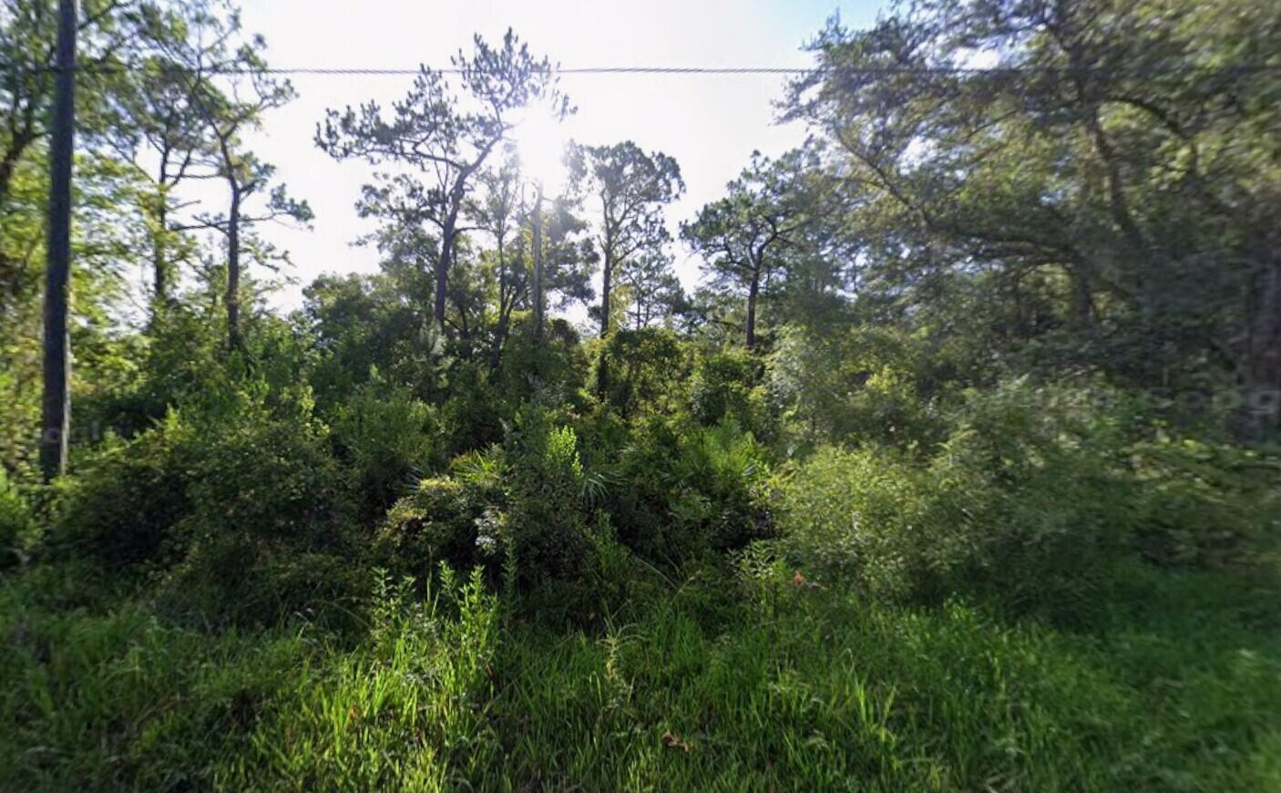 Tbd Atlee Street, New Port Richey, FL 34654, New Port Richey
