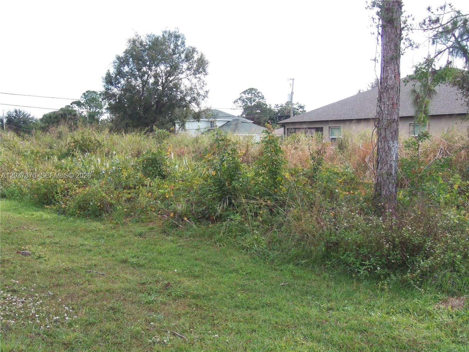 4149 SW Bamberg Street — photo 3