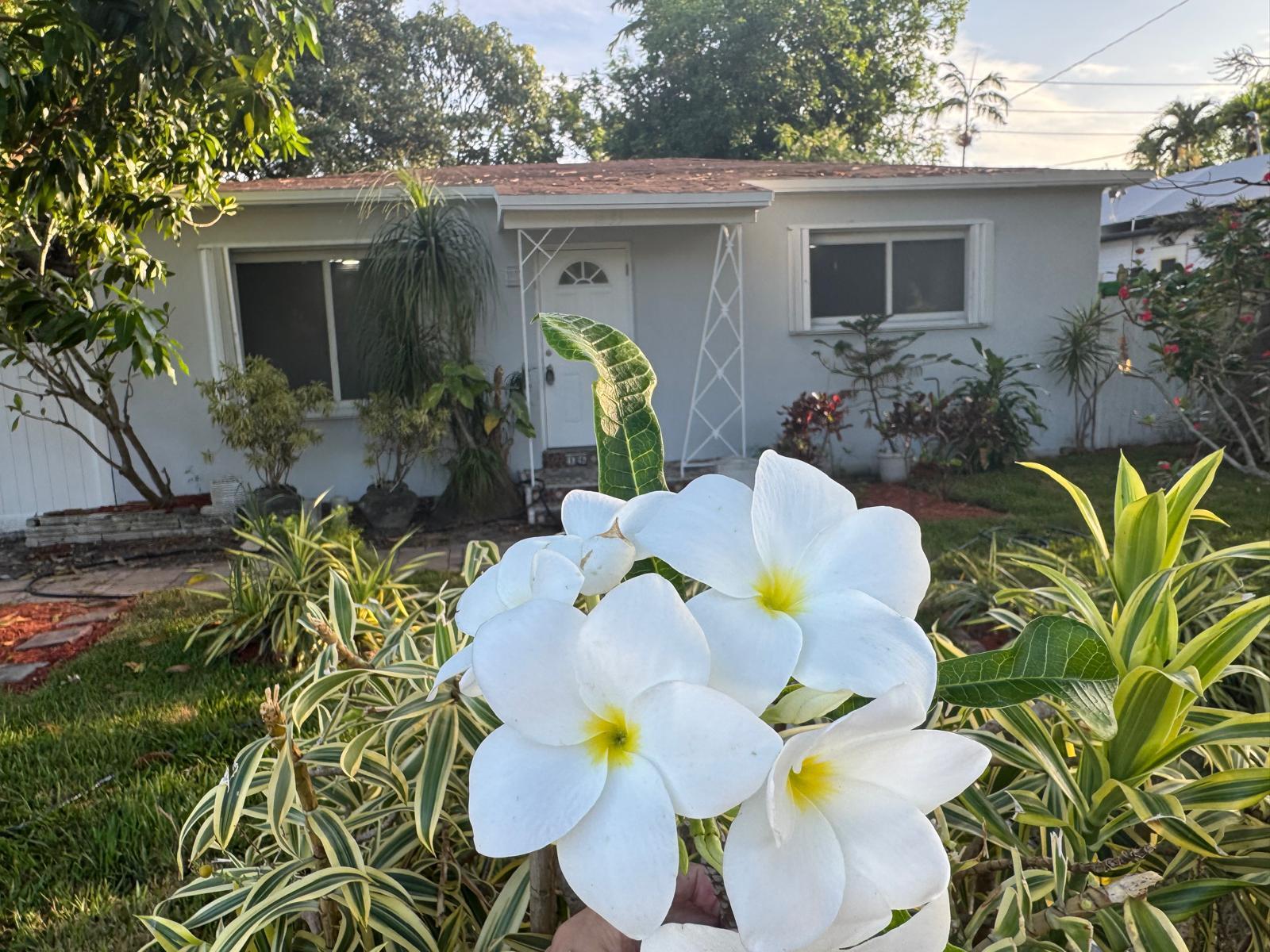1635 NE 160th Street, North Miami Beach, FL 33162, North Miami Beach