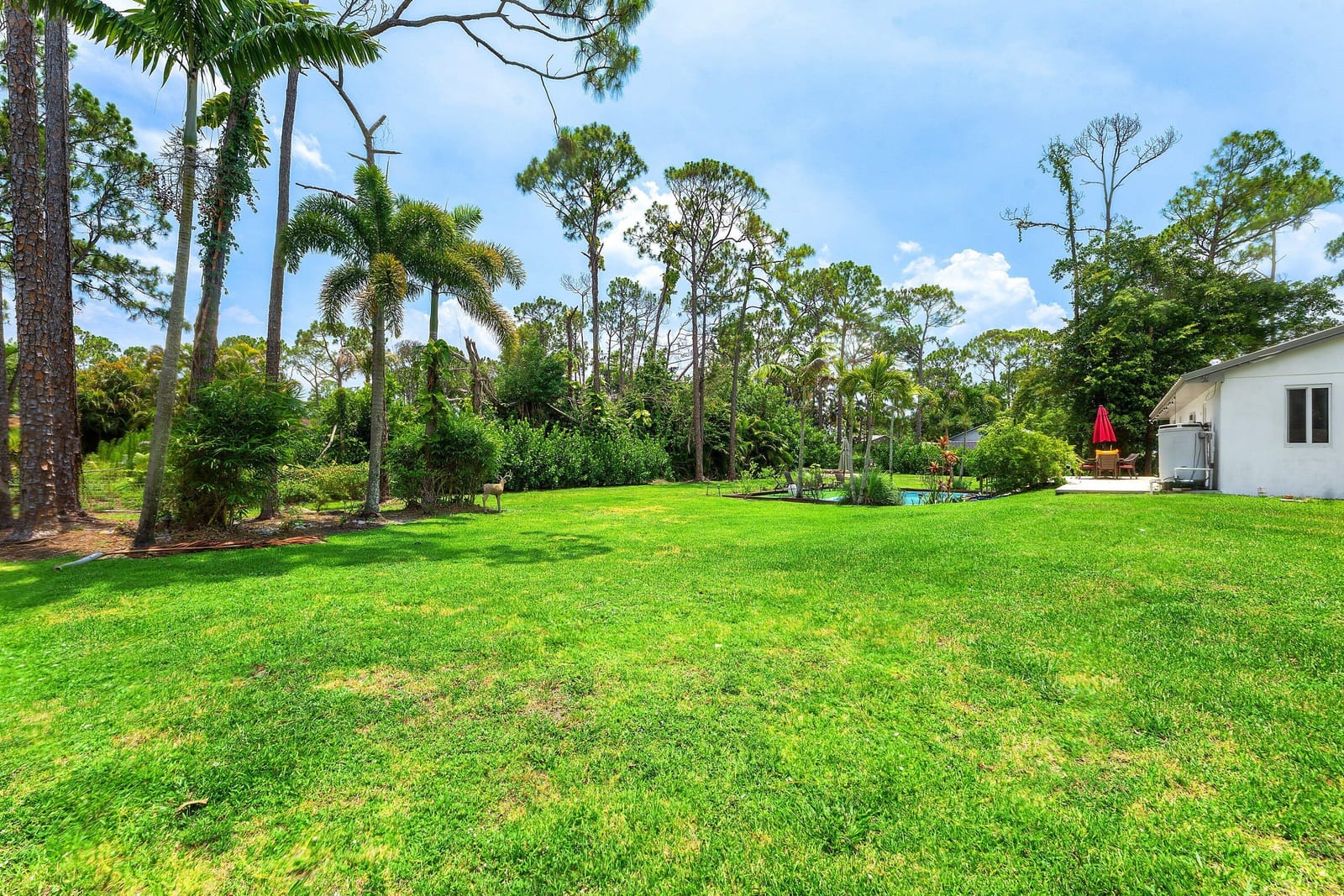 12944 68th Street N, The Acreage, FL 33412 photo 27
