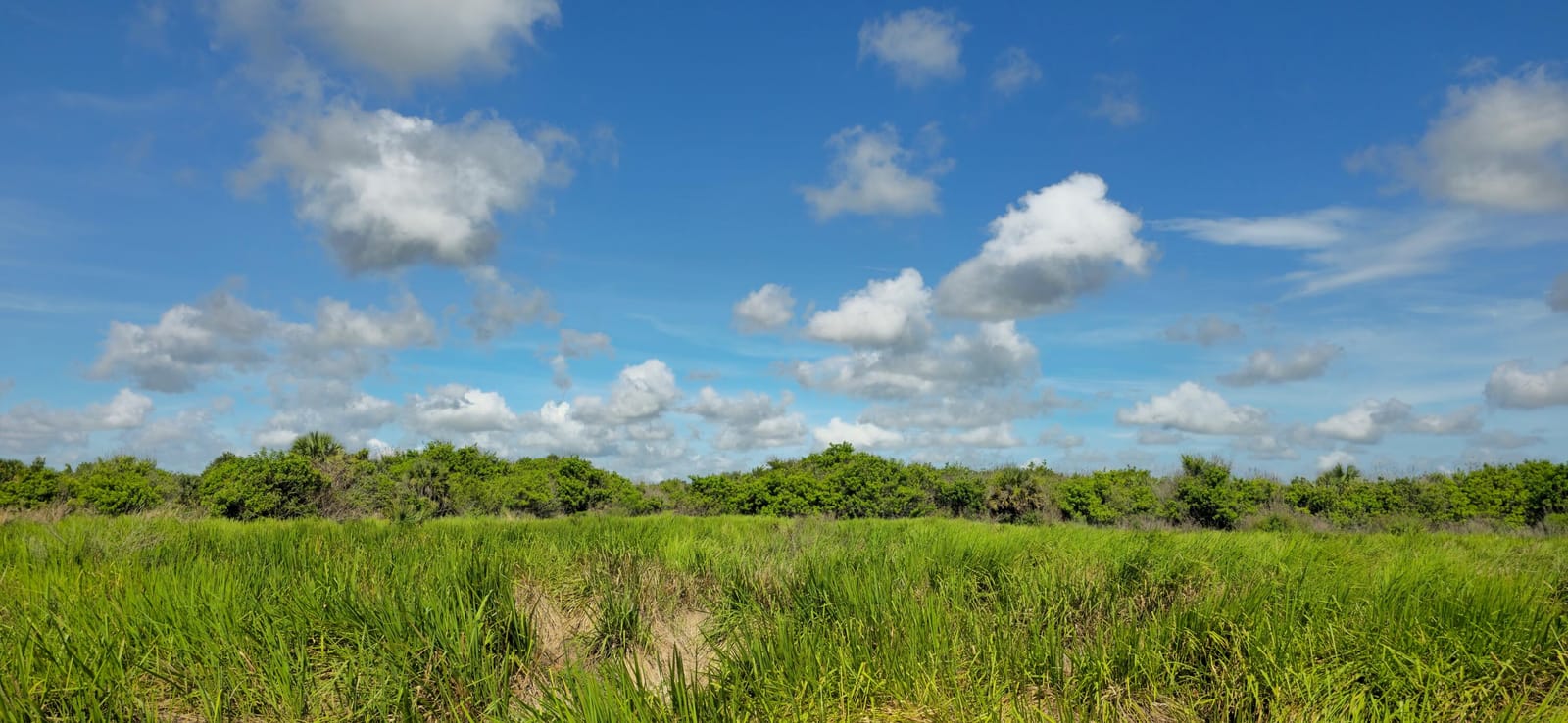Tbd 13th Street SW, Vero Beach, FL 32968 photo 12