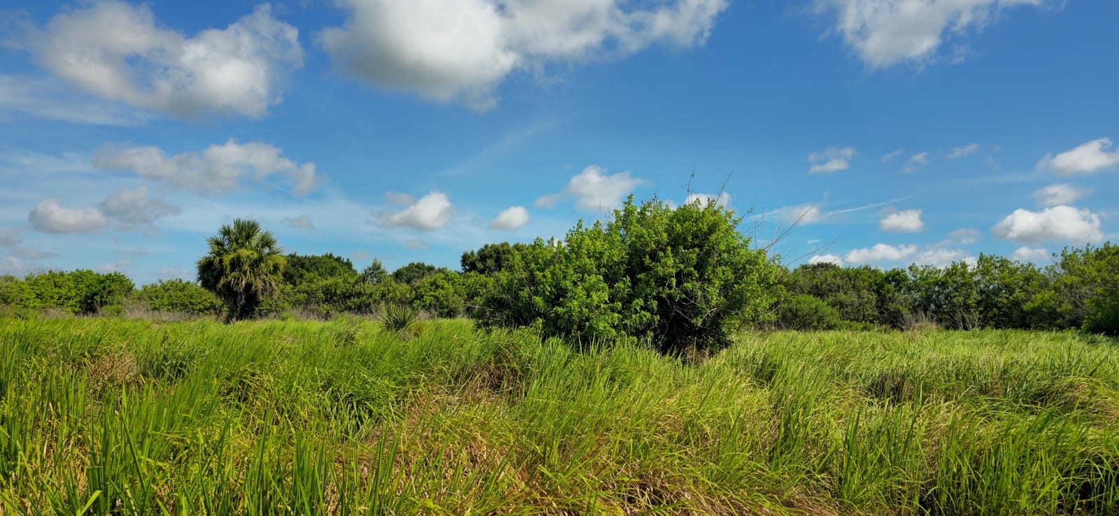 Tbd 13th Street SW, Vero Beach, FL 32968 photo 14