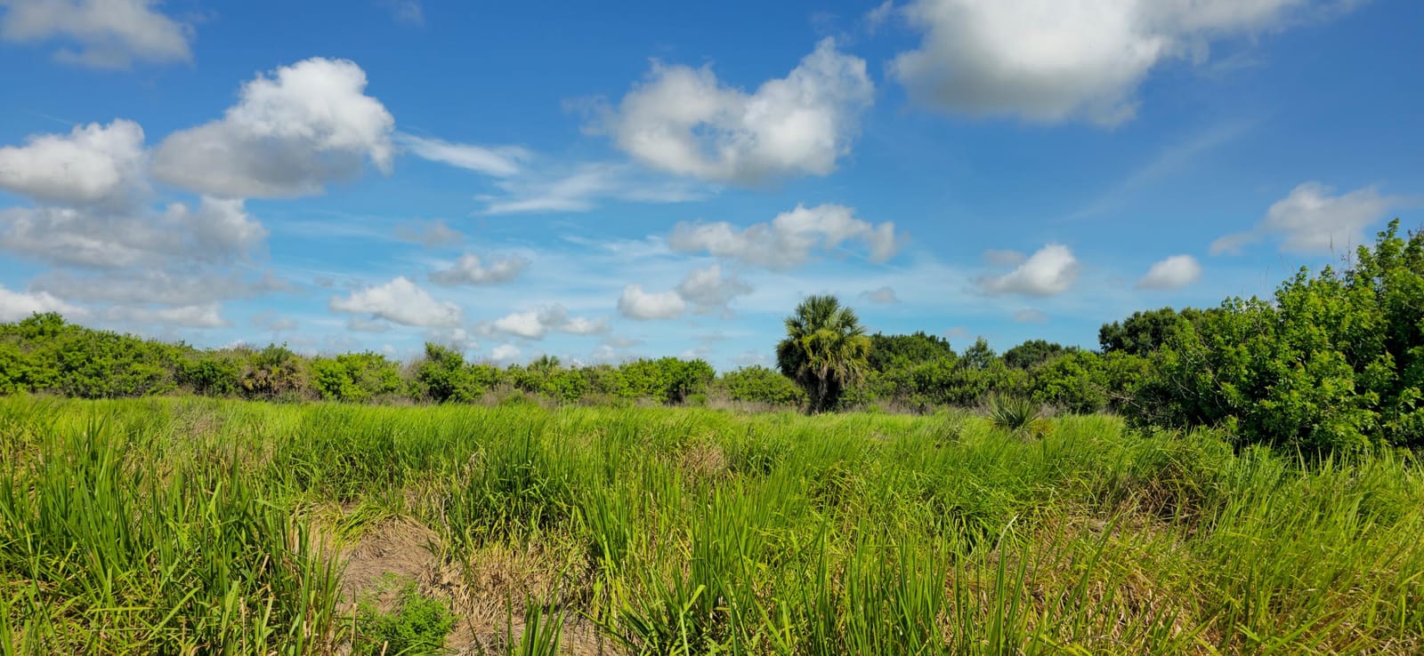 Tbd 13th Street SW, Vero Beach, FL 32968 photo 6