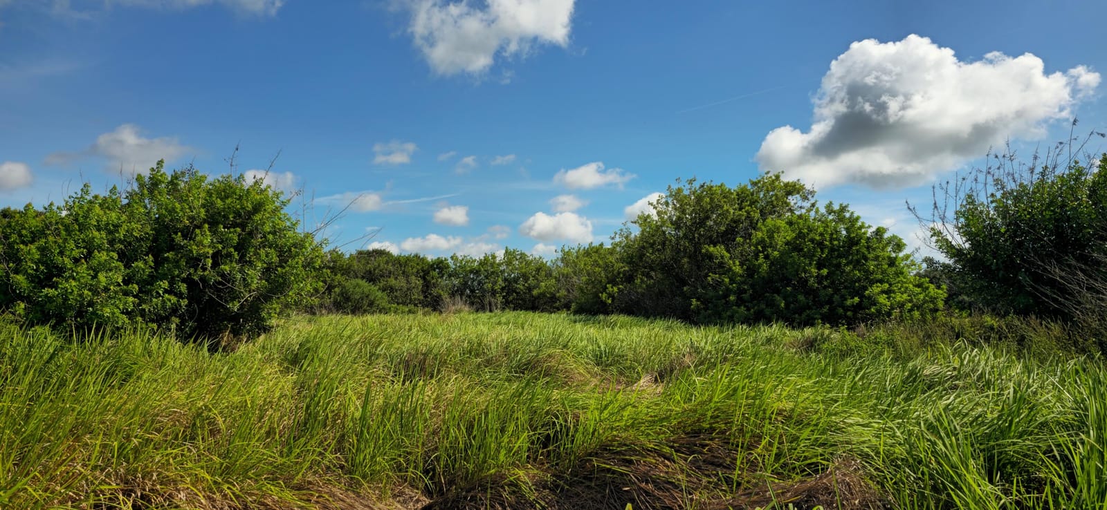 Tbd 13th Street SW, Vero Beach, FL 32968 photo 8
