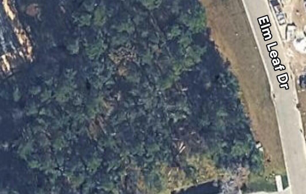 5049 Elm Leaf Drive, Brooksville, FL 34601, Brooksville