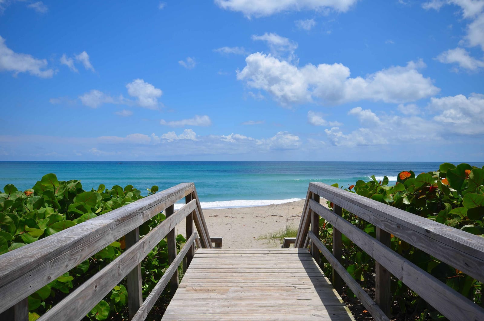 508 Sea Oats Drive B-4, Juno Beach, FL 33408 photo 25
