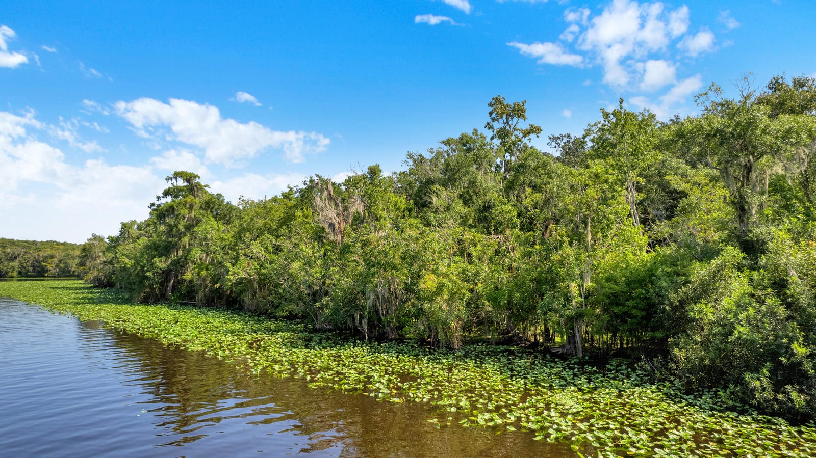 0000 Cummer Road, Deland, FL 32720 photo 16