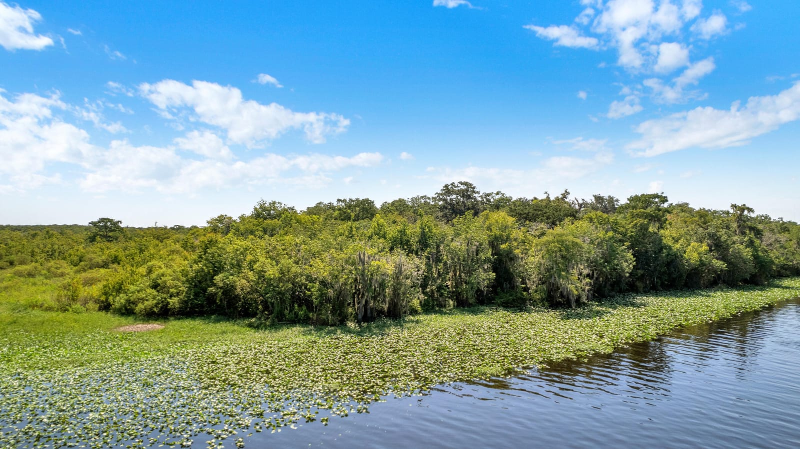 0000 Cummer Road, Deland, FL 32720 photo 17