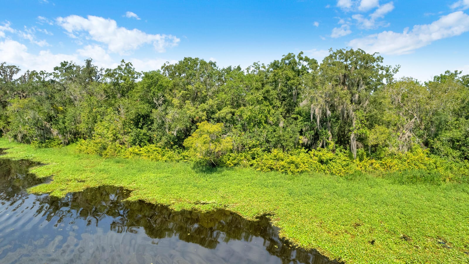 0000 Cummer Road, Deland, FL 32720 photo 22