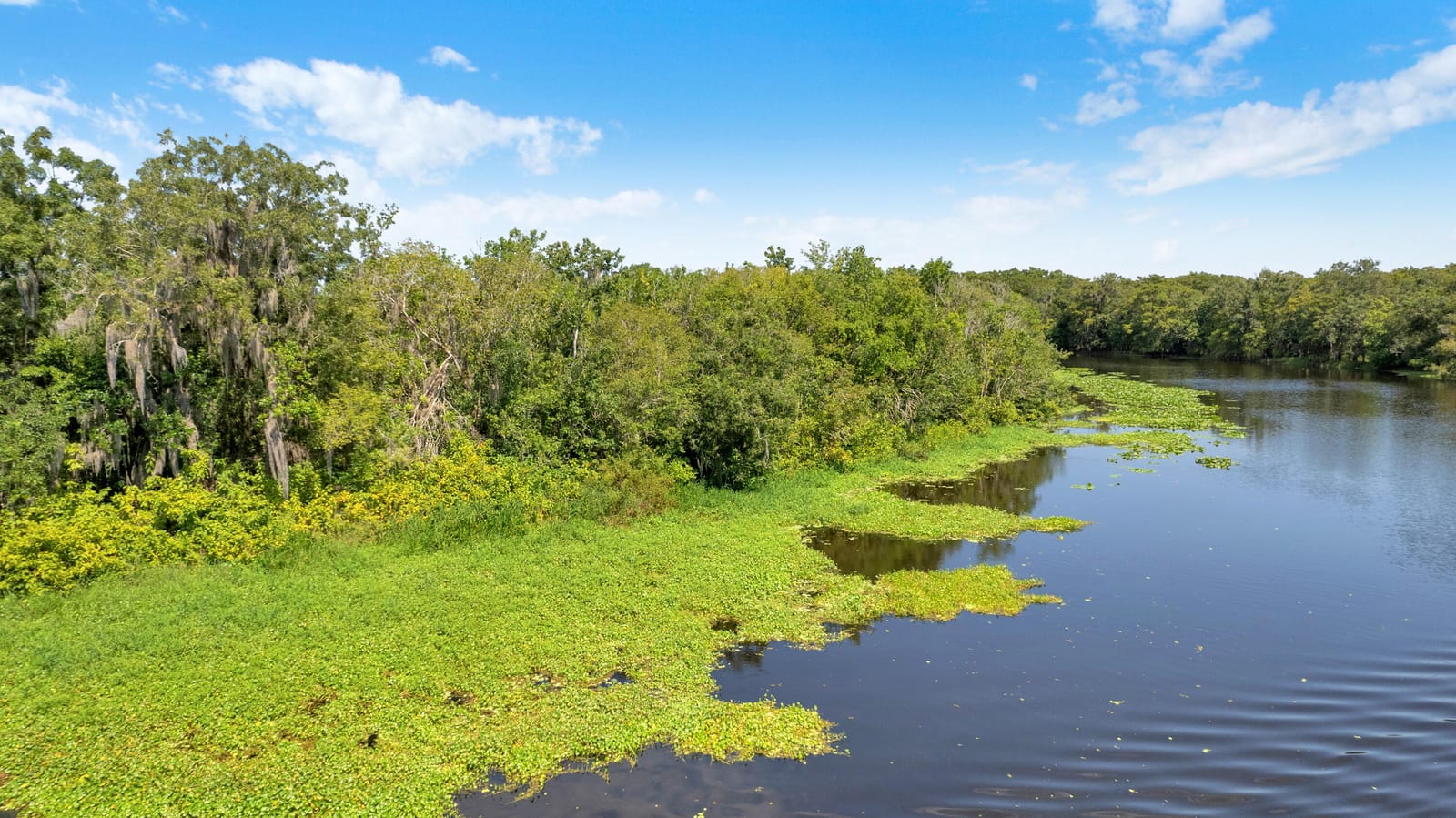 0000 Cummer Road, Deland, FL 32720 photo 23