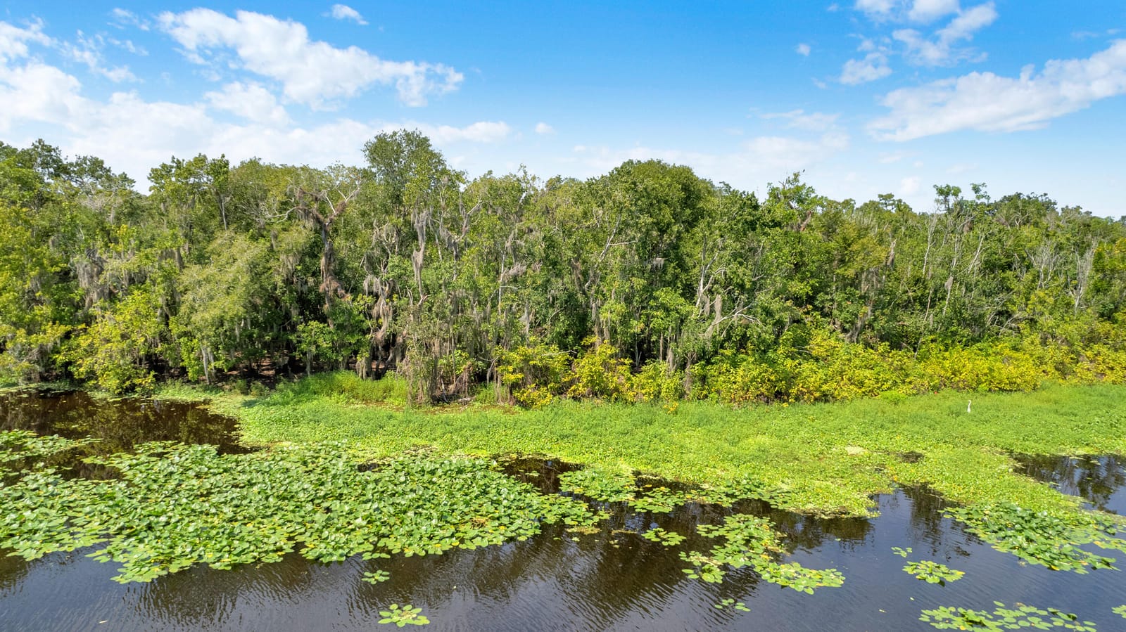 0000 Cummer Road, Deland, FL 32720 photo 24