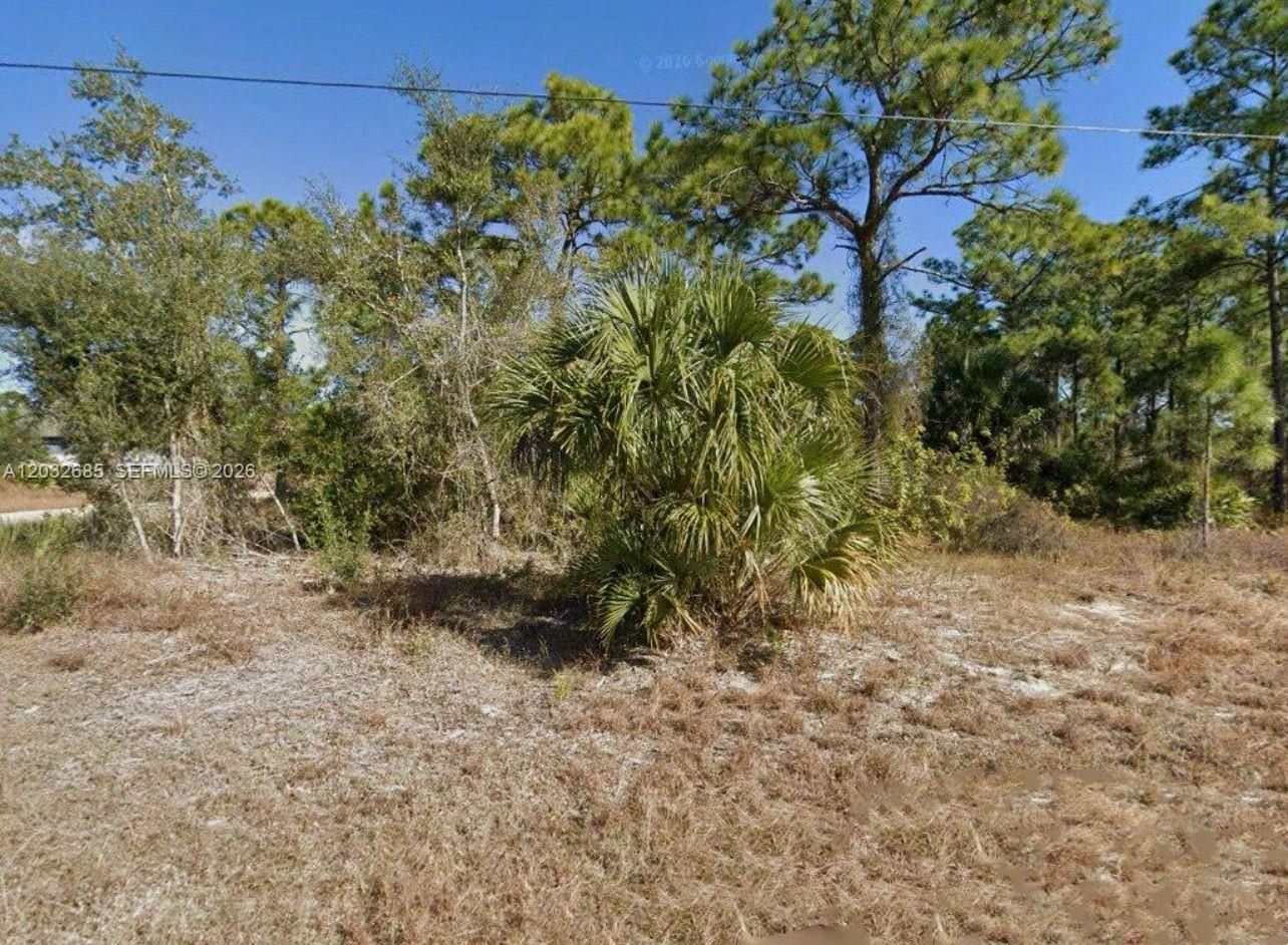 1015 Maddock Street E, Lehigh Acres, FL 33974, Lehigh Acres