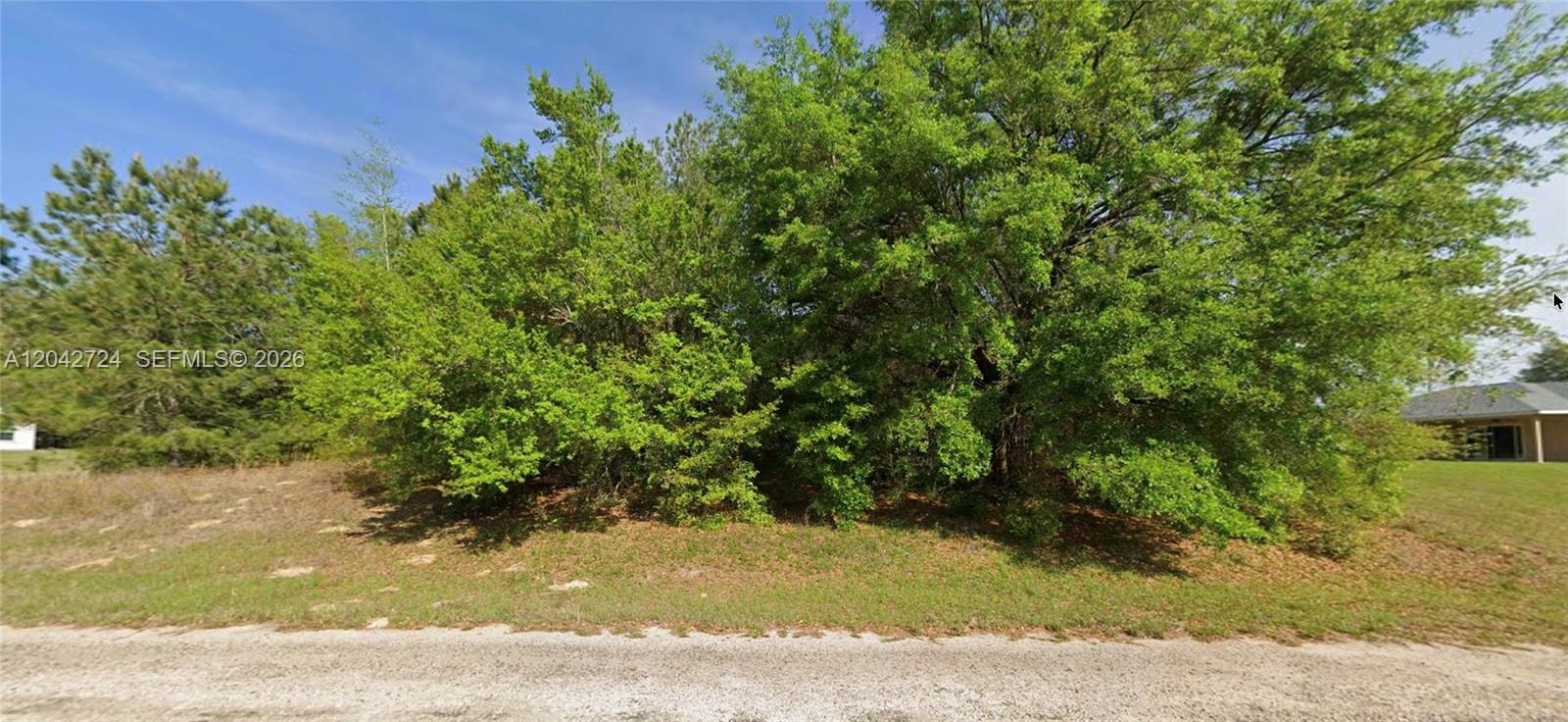 689 E Hope Place, FL 34434