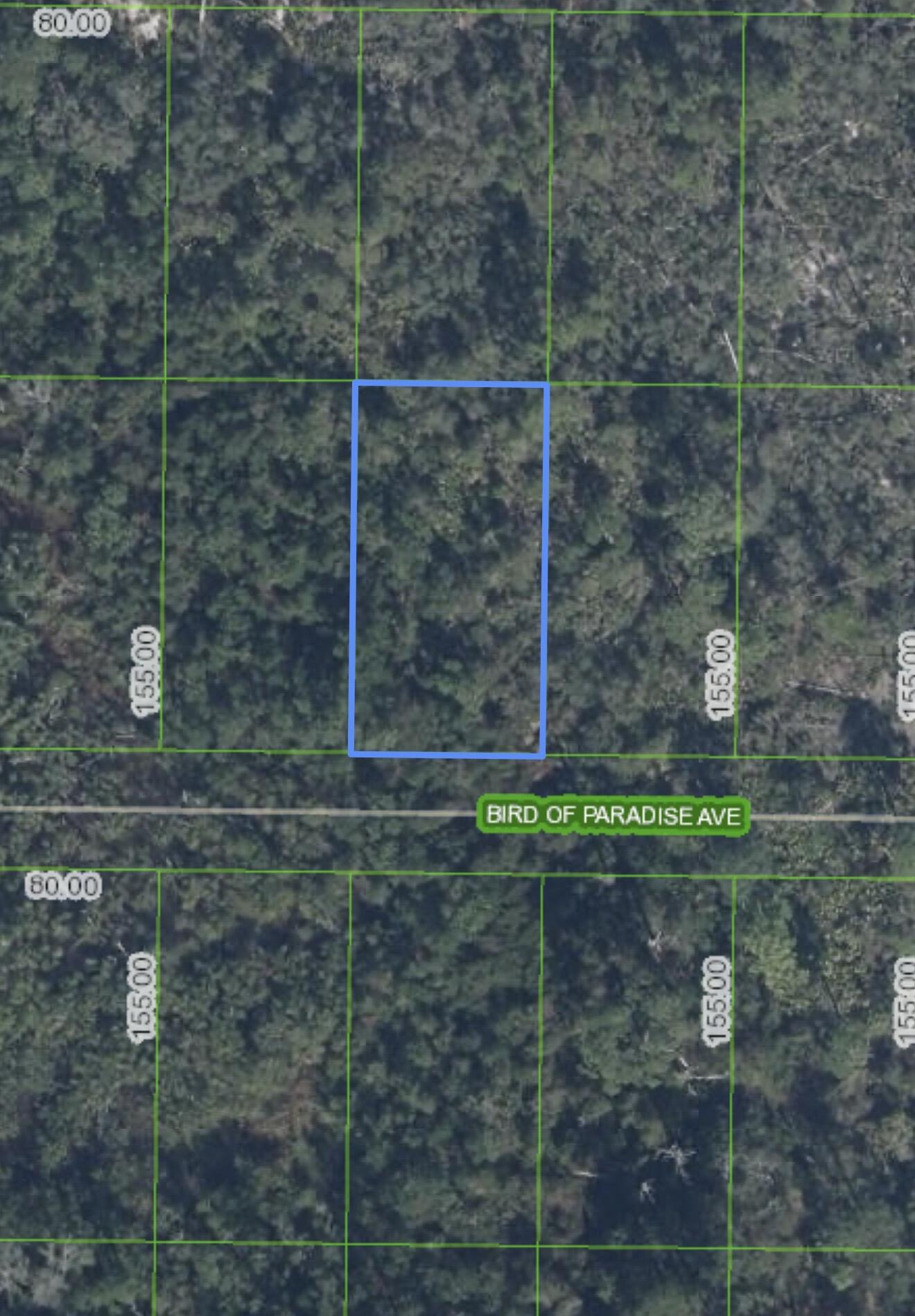2330 Bird Of Paradise Avenue, Sebring, FL 33875, Sebring