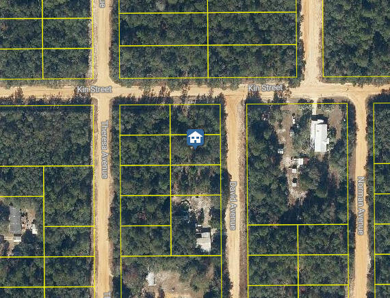 Lot 30 David Avenue, Interlachen, FL 32148, Interlachen