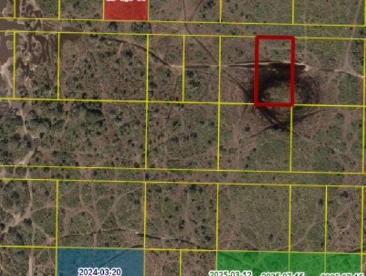 0 NW 316th Street, Okeechobee, FL 34972 photo 4