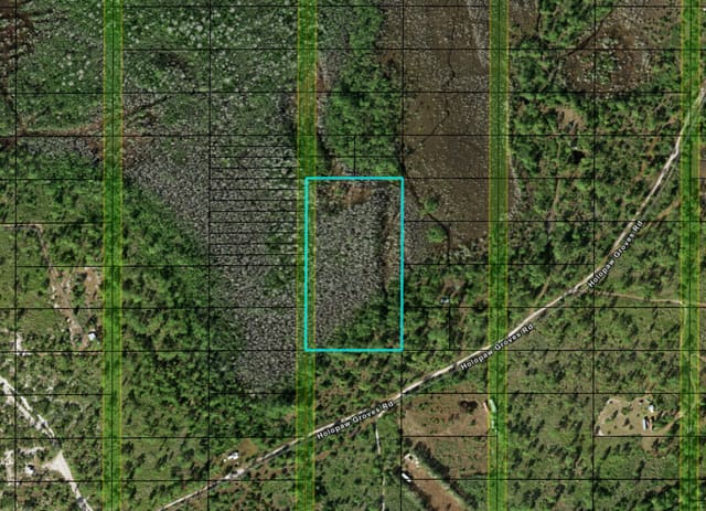 0 Holopaw Groves Road, St. Cloud, FL 34772