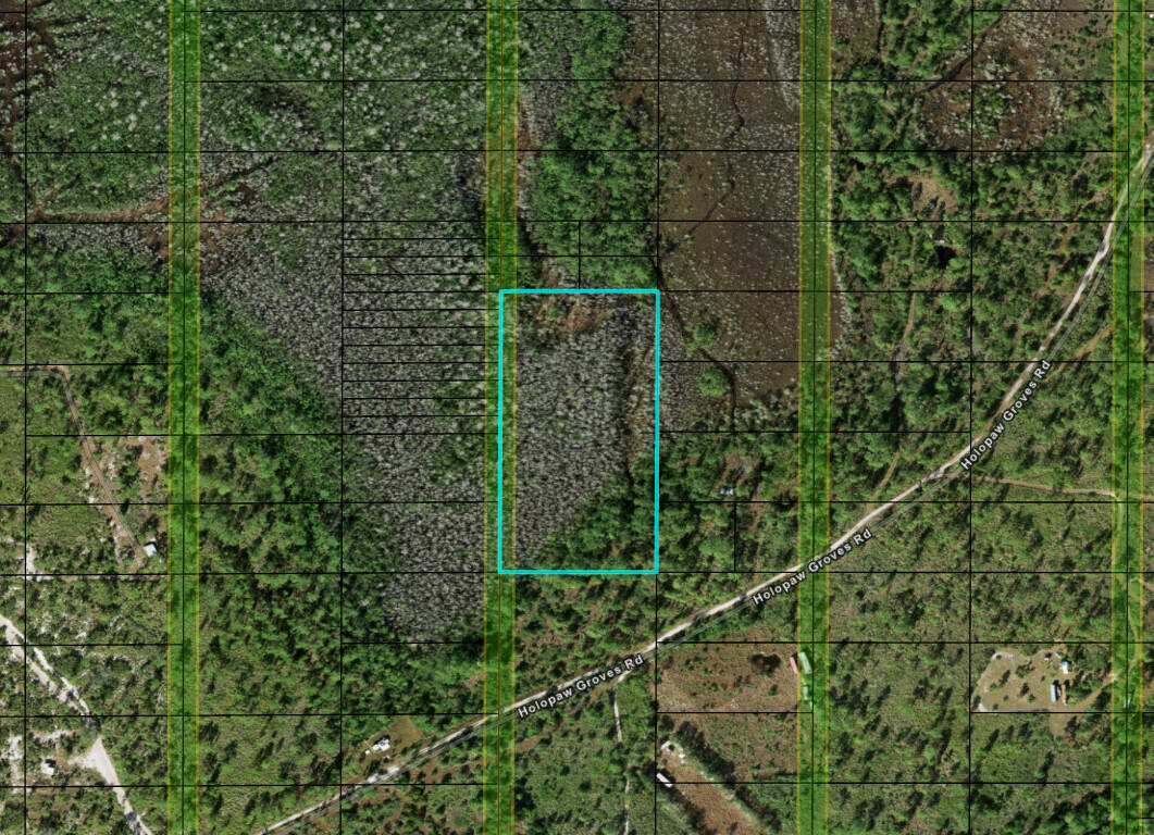 0 Holopaw Groves Road, St. Cloud, FL 34772