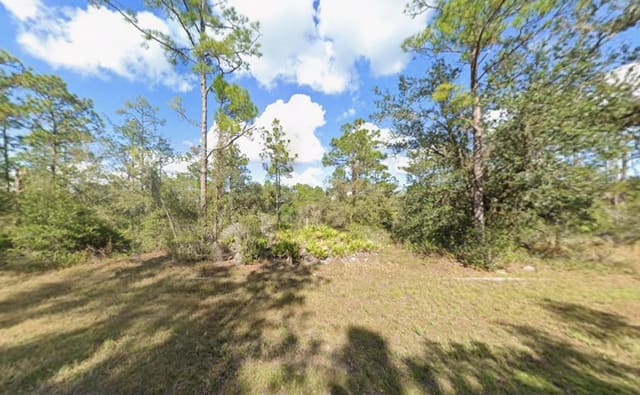 Tbd Plumosa Drive, Indian Lake Estates, FL 33855