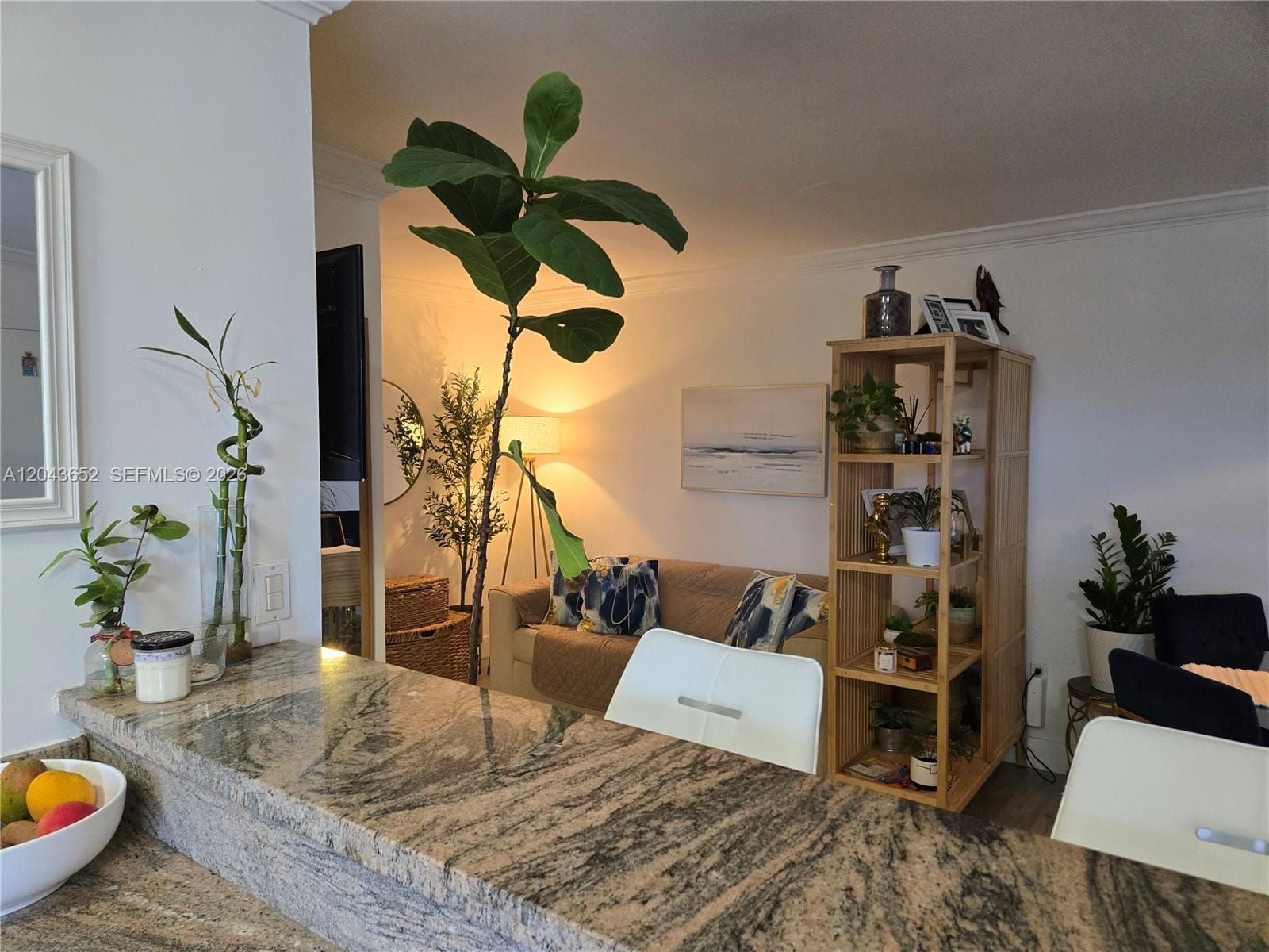 820 Salzedo Street 405, Coral Gables, FL 33134 photo 5