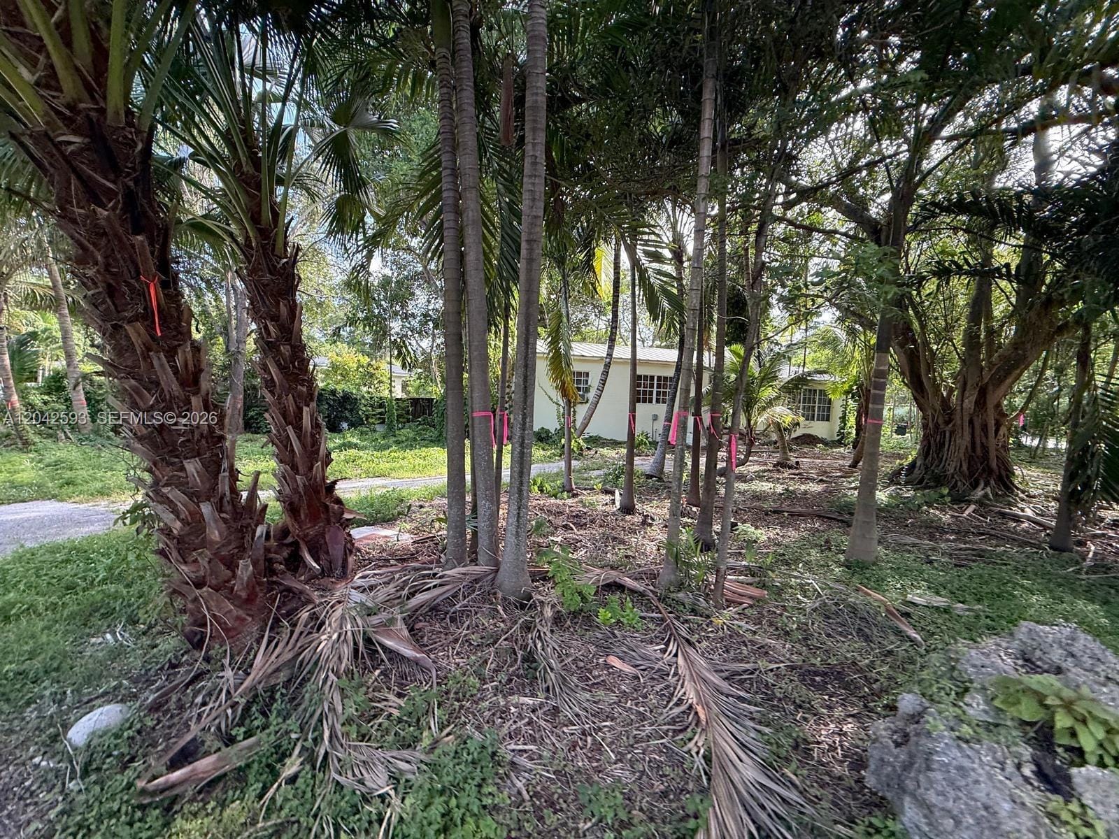 6600 SW 64th Court, South Miami, FL 33143