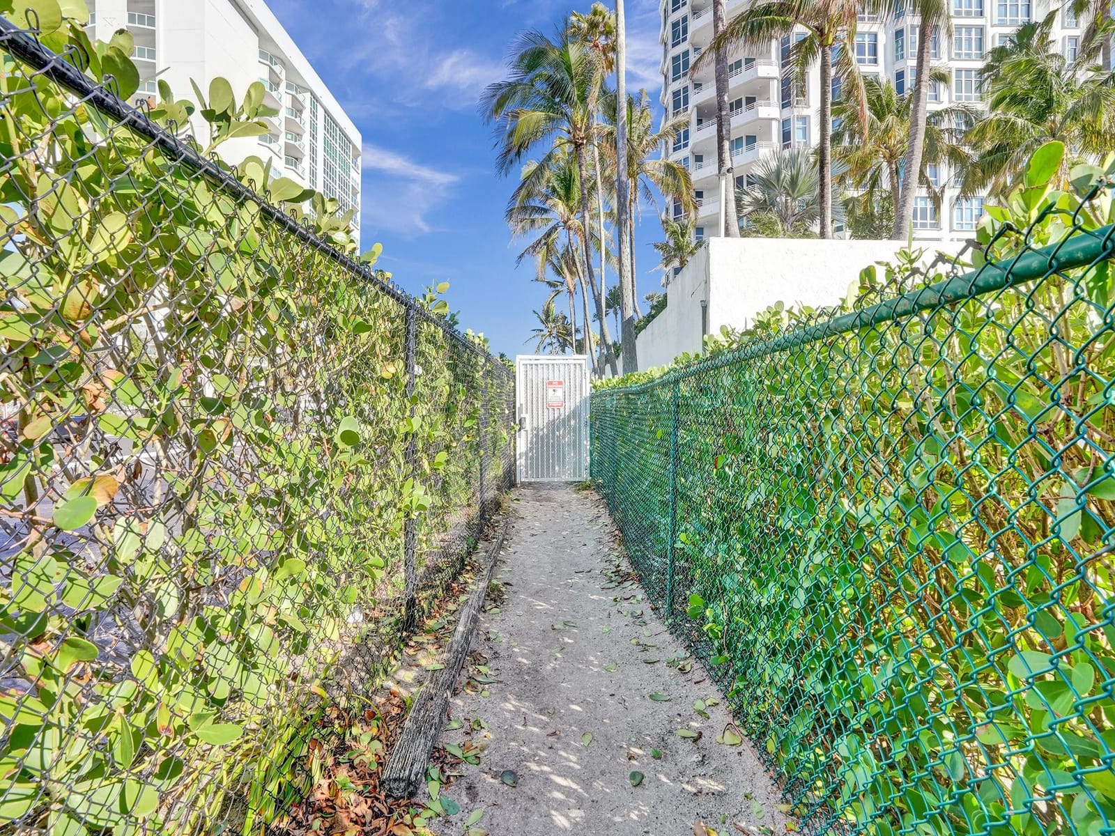 1461 S Ocean Boulevard 303, Lauderdale-By-The-Sea, FL 33062 photo 22
