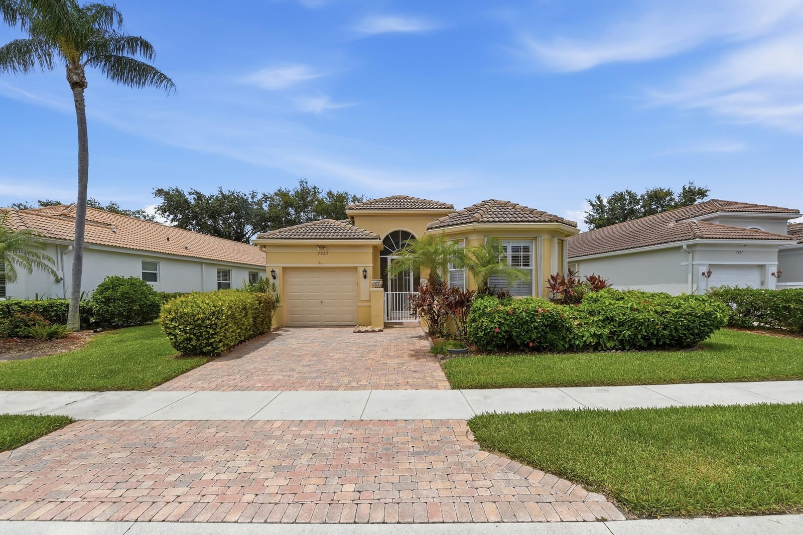 7229 Cataluna Circle — photo 8