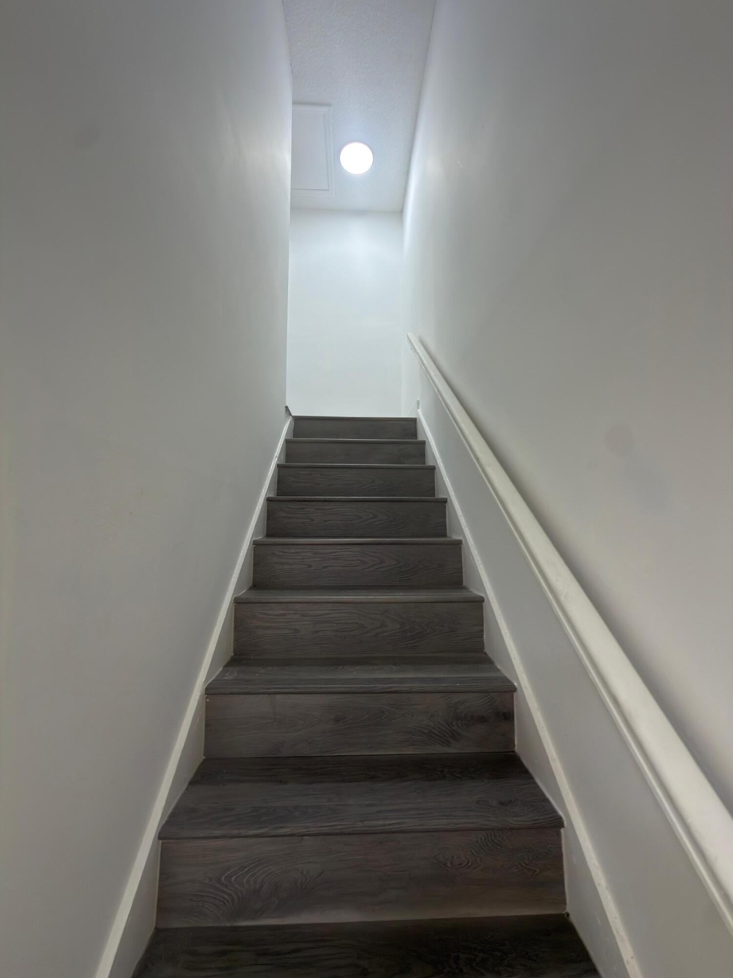 6583 Boulevard Of Champions — photo 11