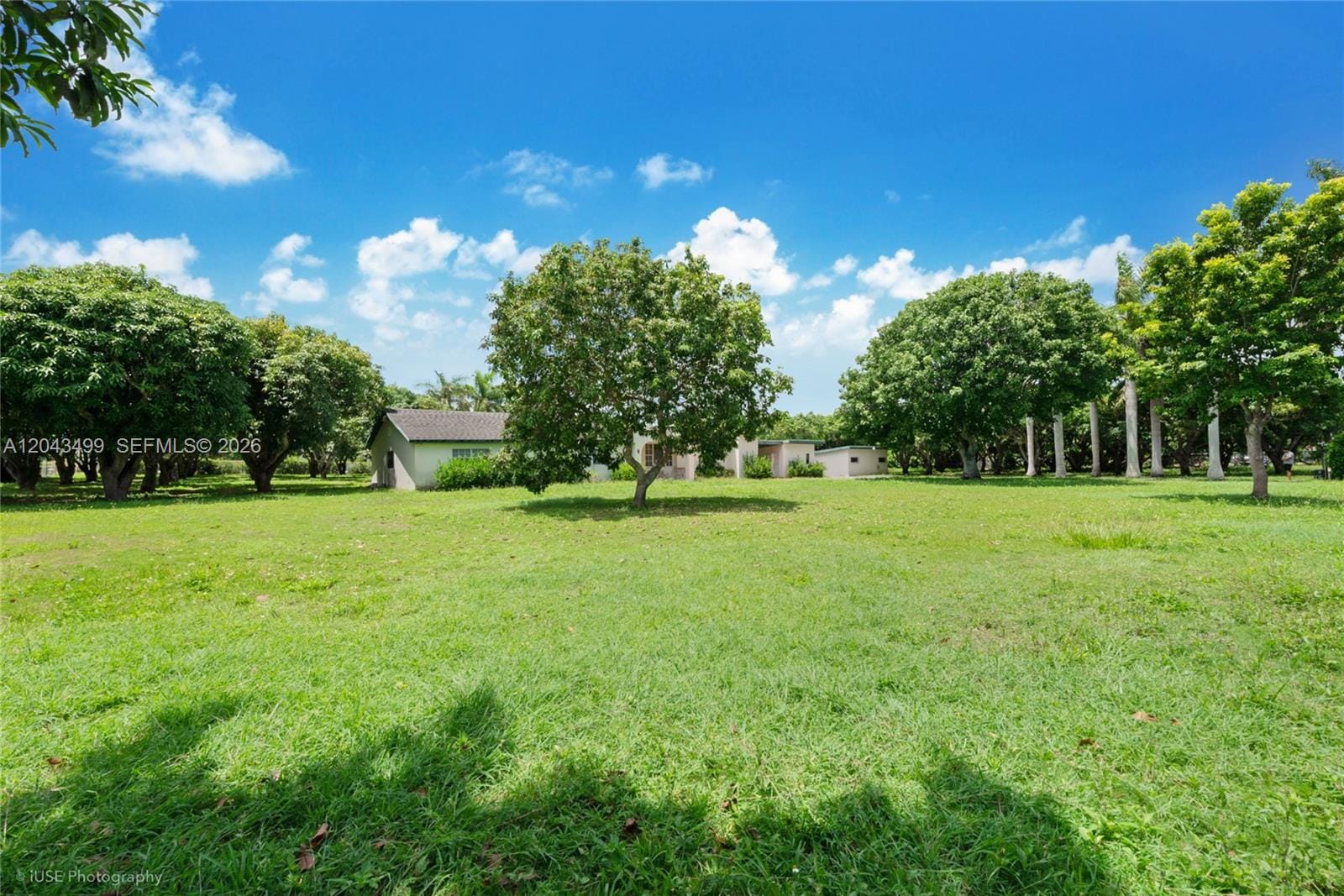 8000 SW 184th Street — photo 12